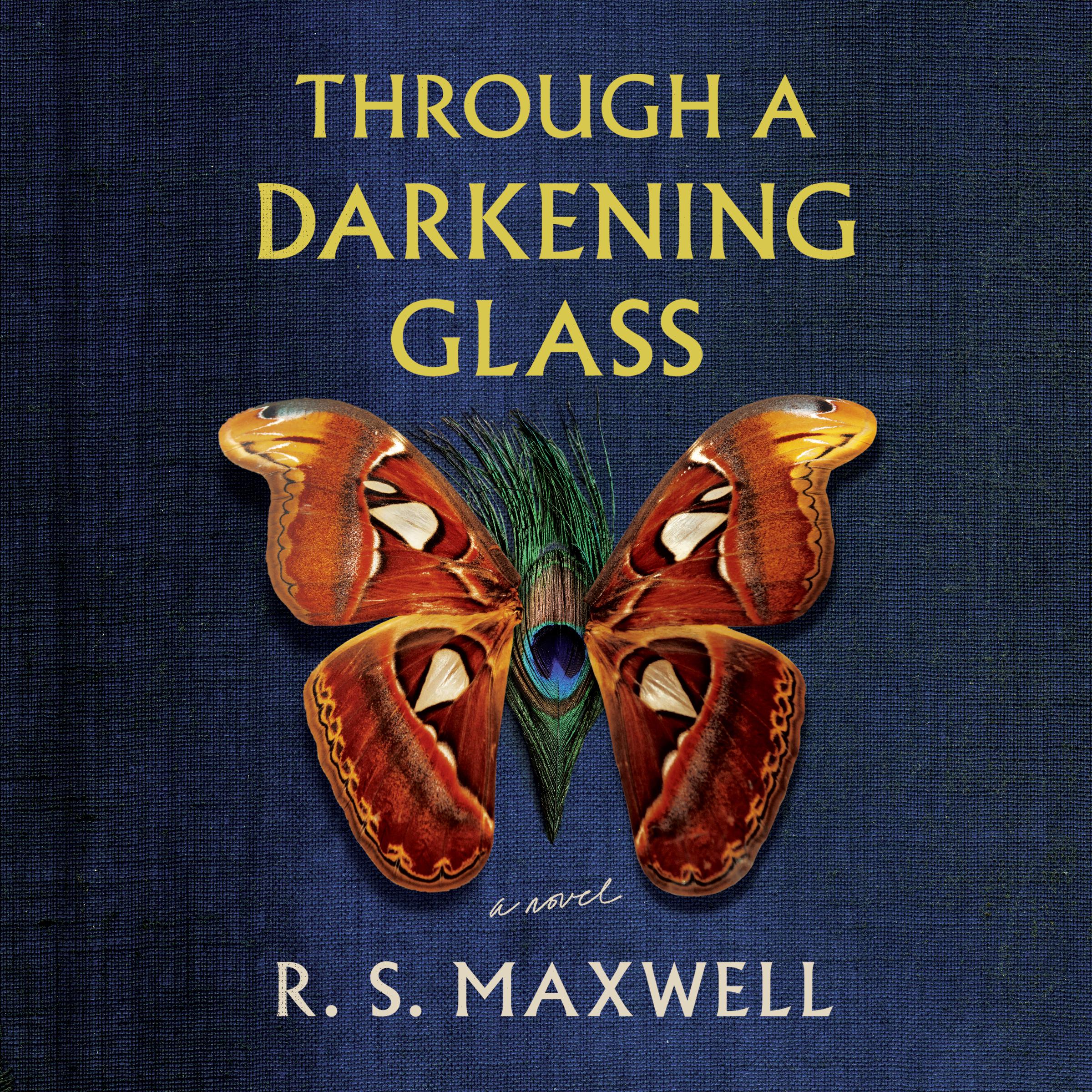 Through a Darkening Glass