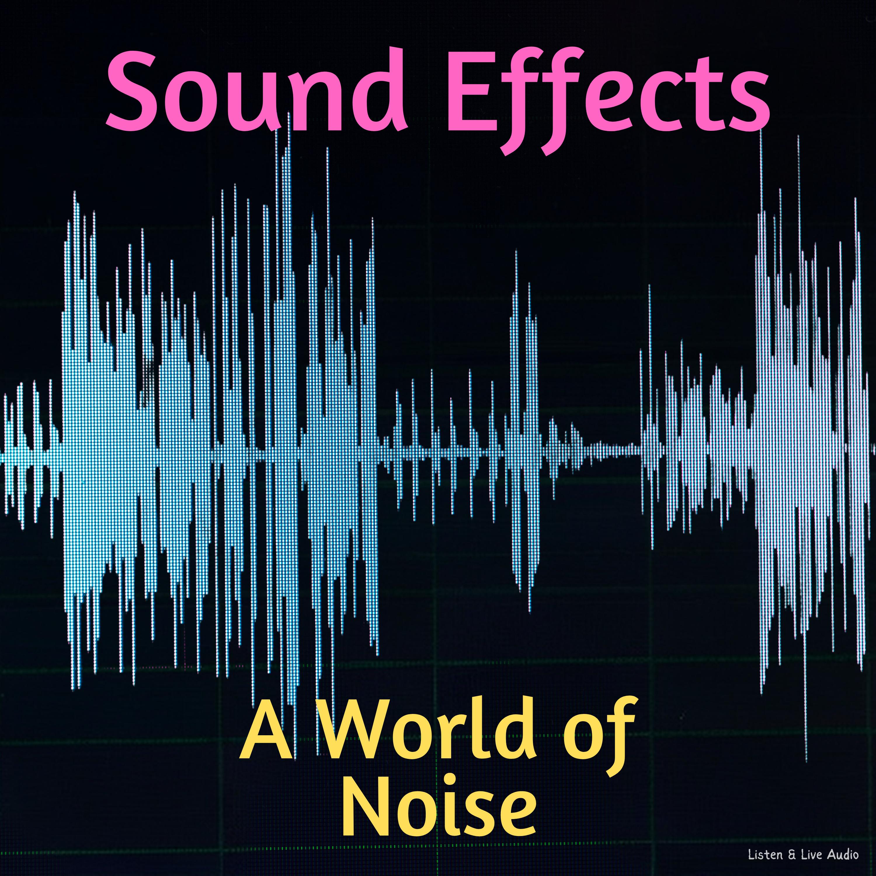 Sound Effects: A World of Noise