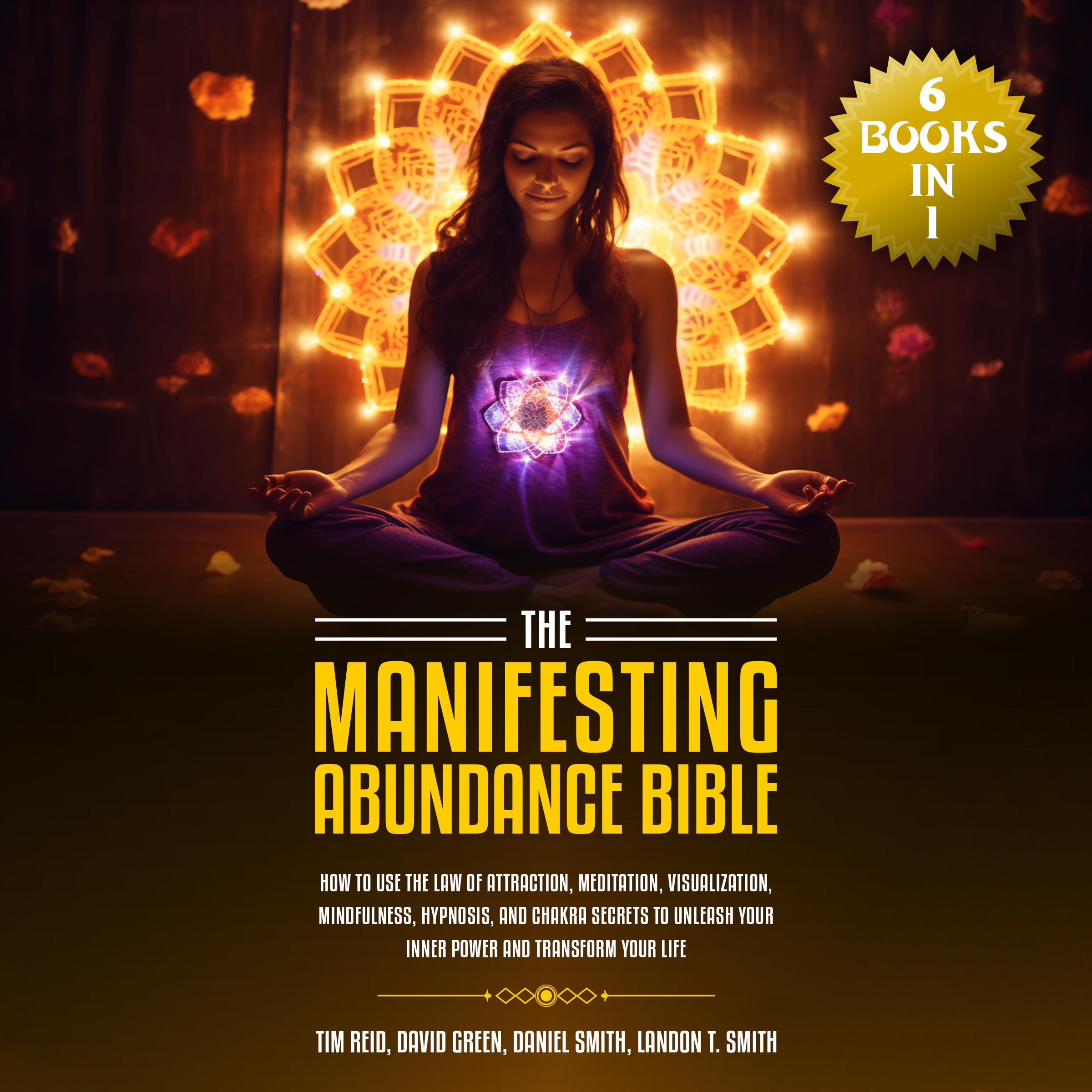 The Manifesting Abundance Bible