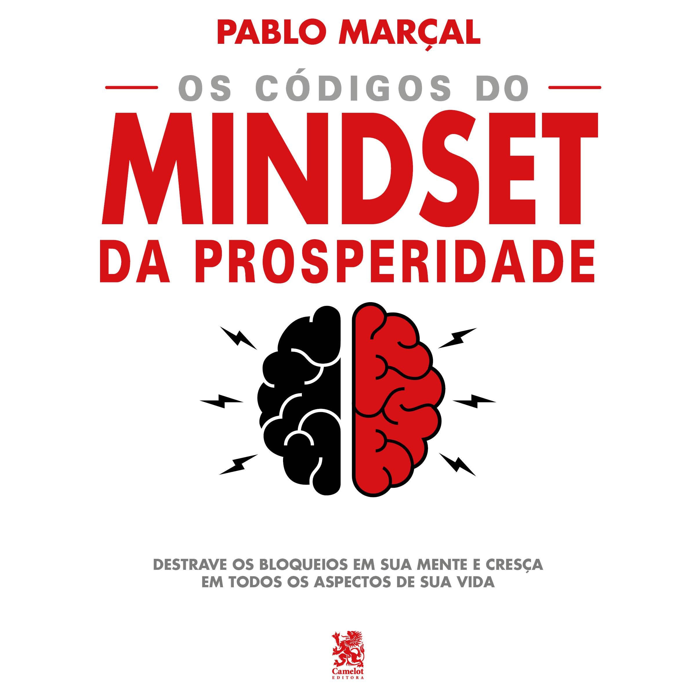 Os Códigos do Mindset da Prosperidade