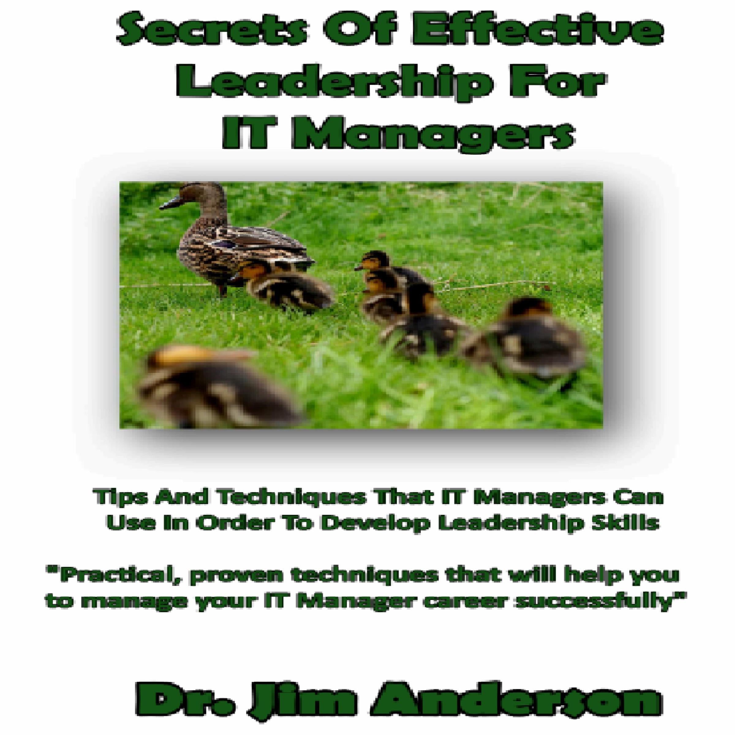Secrets of Effective Leadership for IT Managers