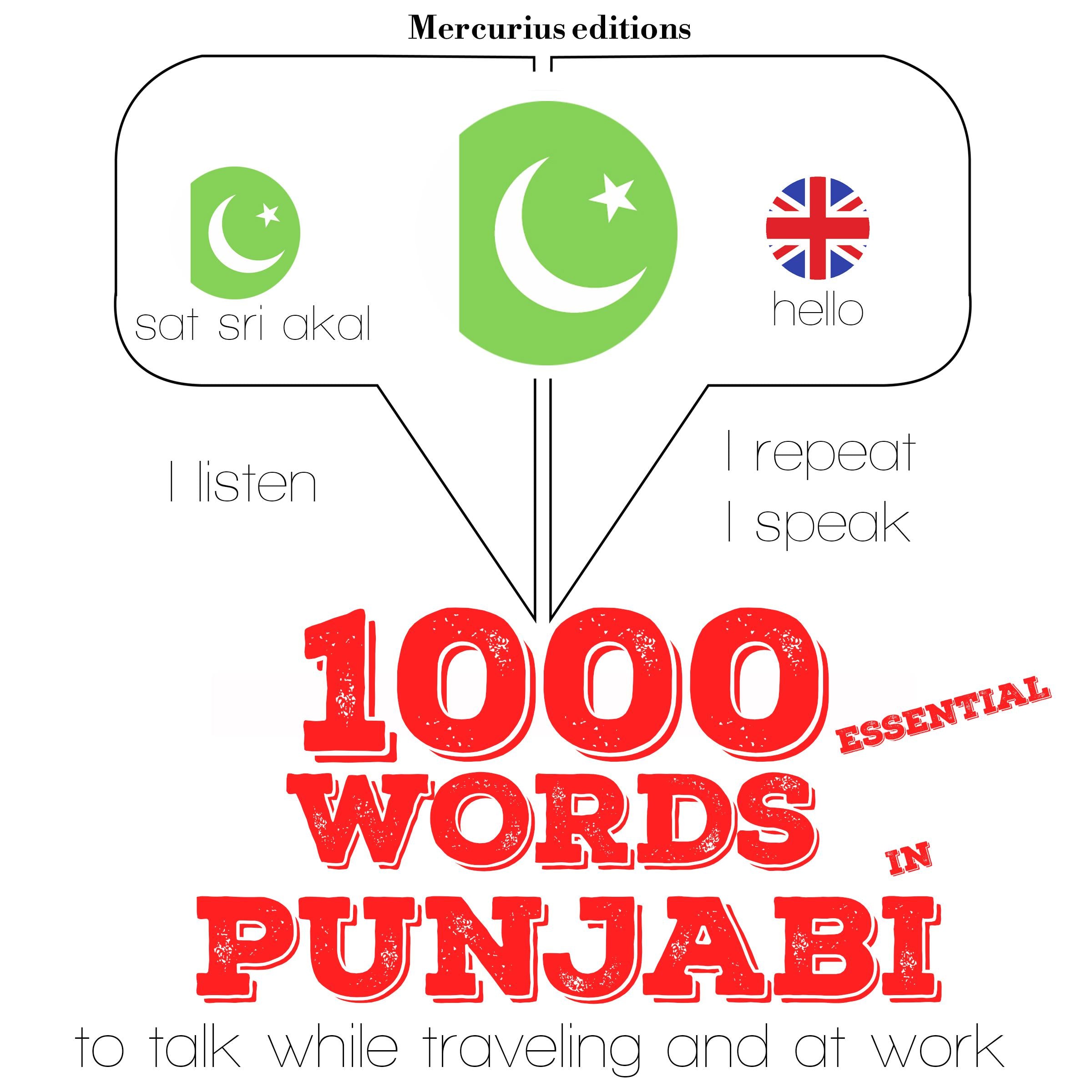 1000 essential words in Punjabi