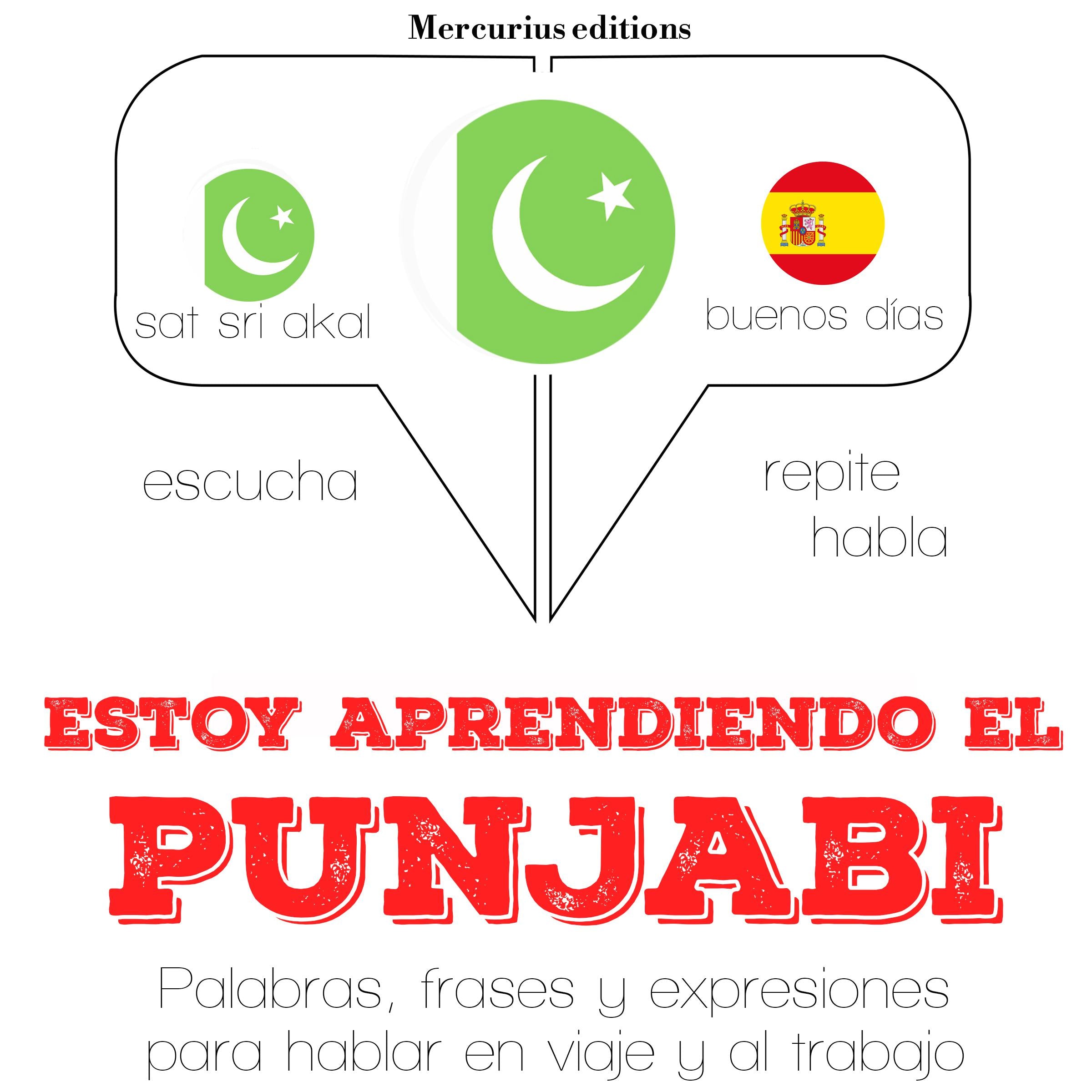 Estoy aprendiendo el punjabi