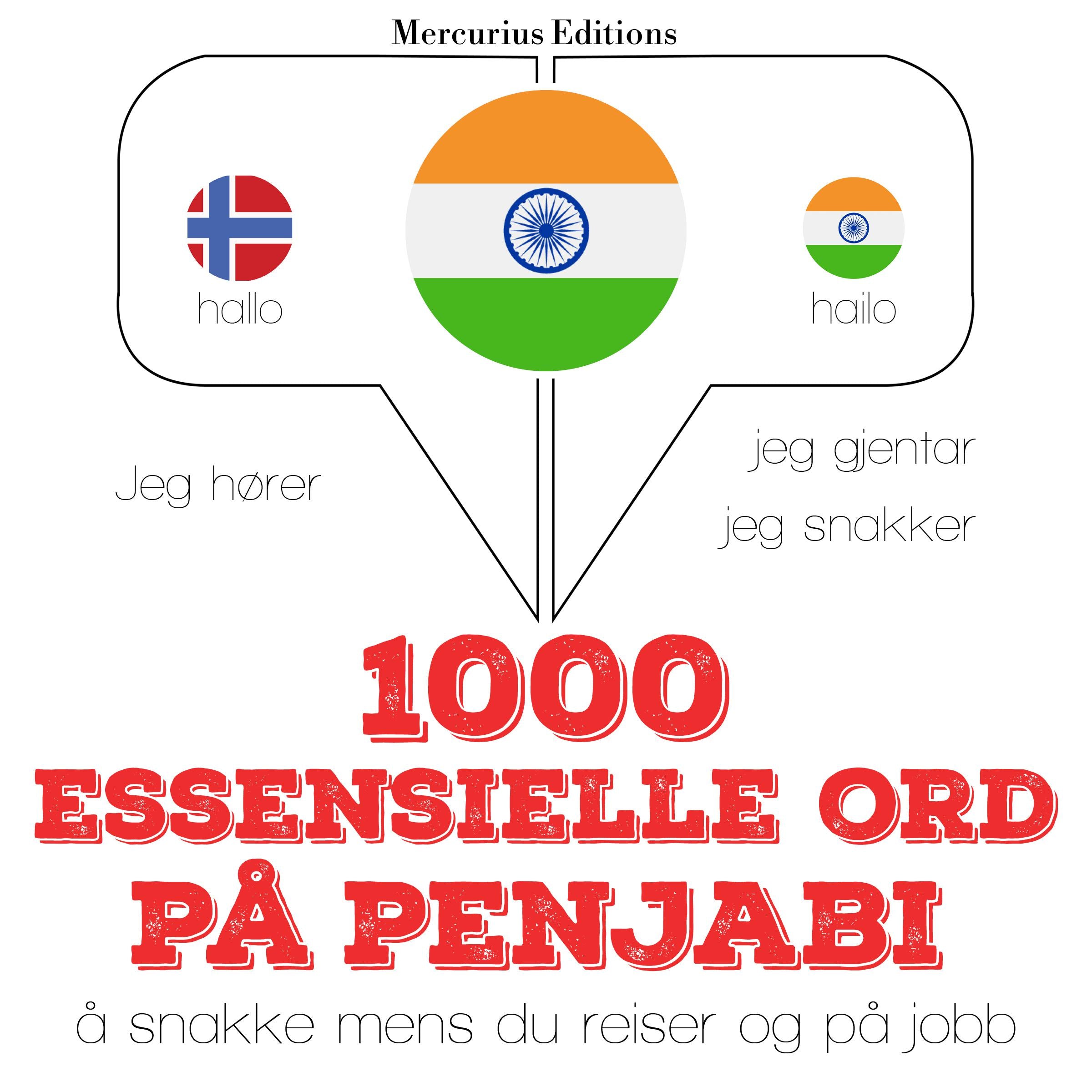 1000 essensielle ord på Penjabi