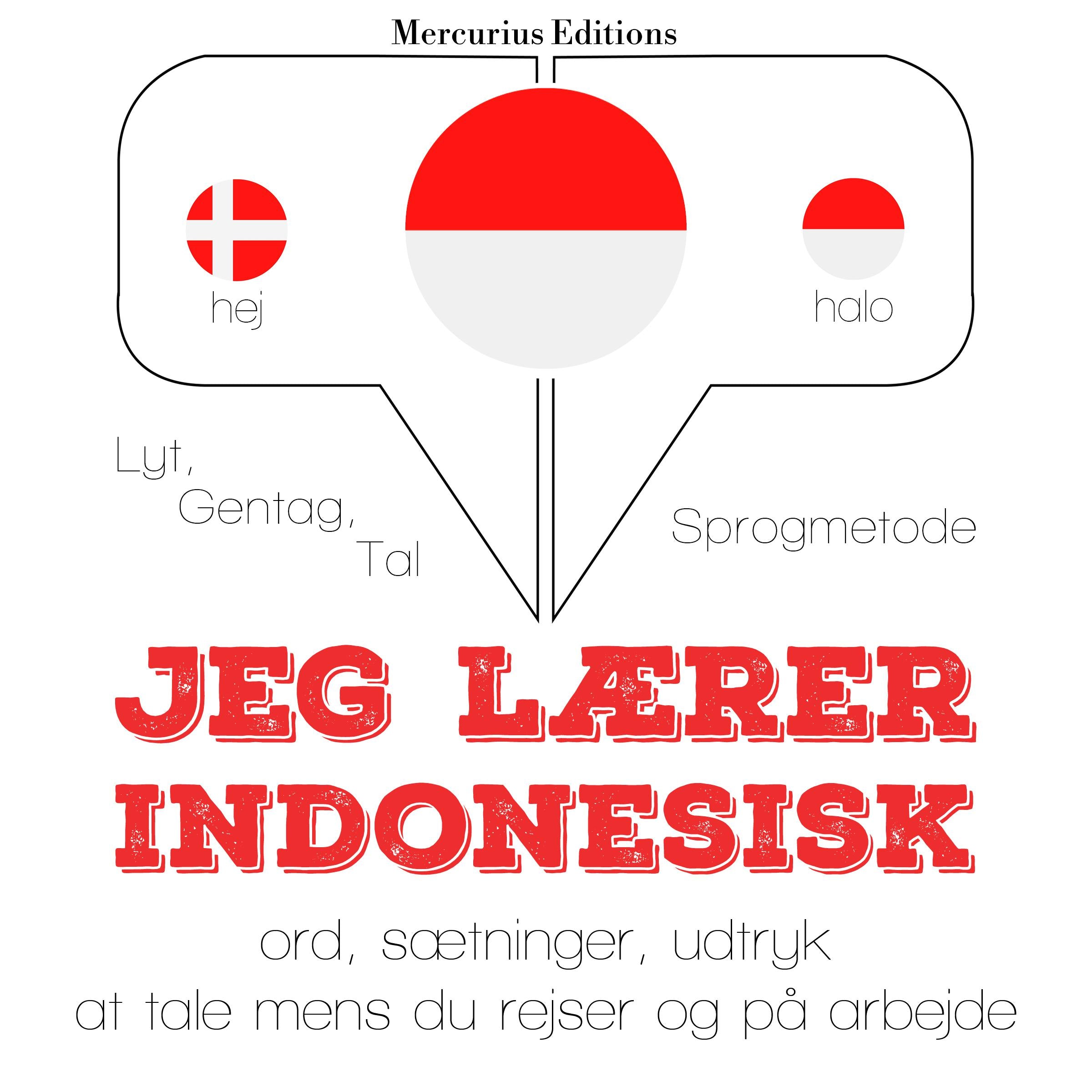 Jeg lærer indonesisk