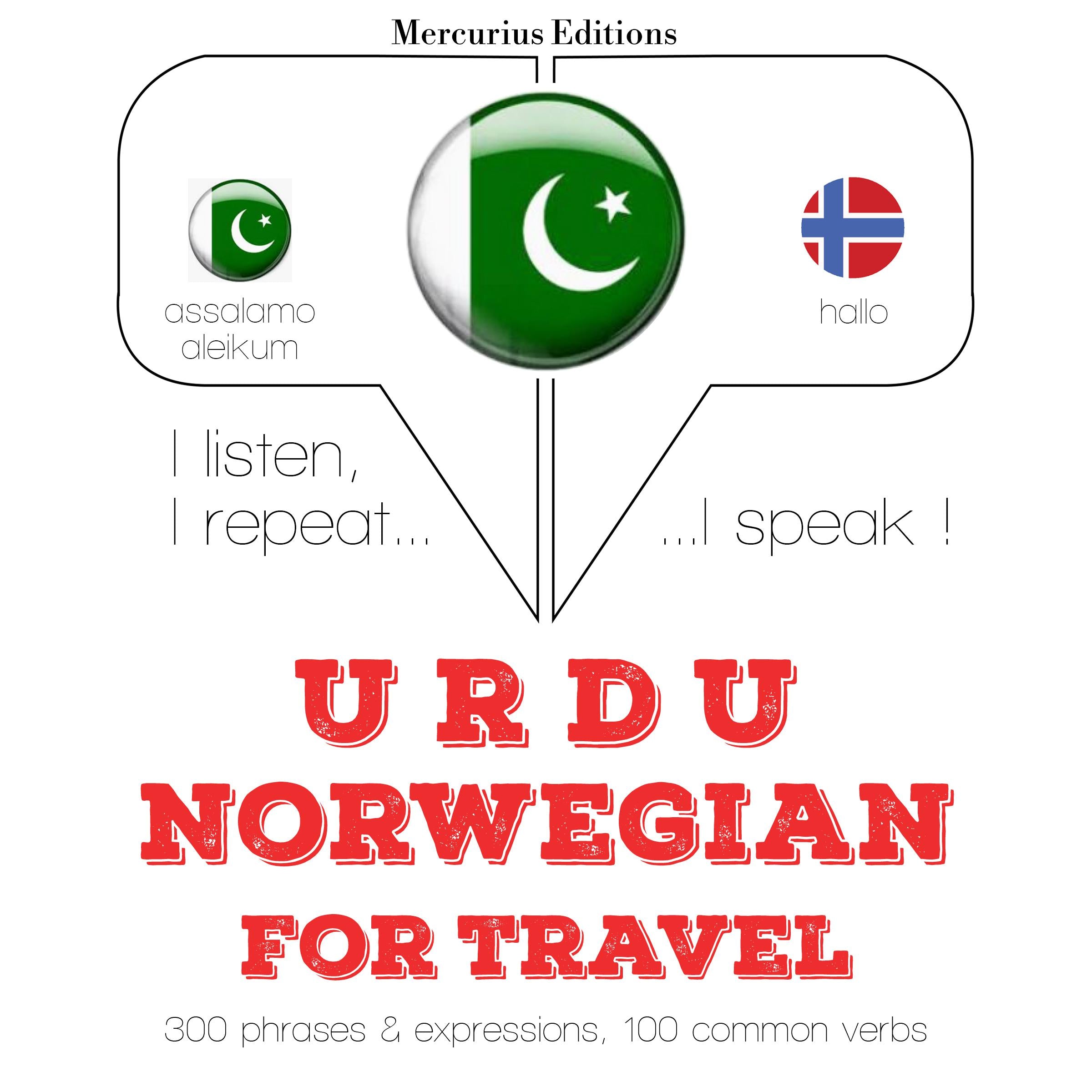 ناروے میں سفر الفاظ اور جملے