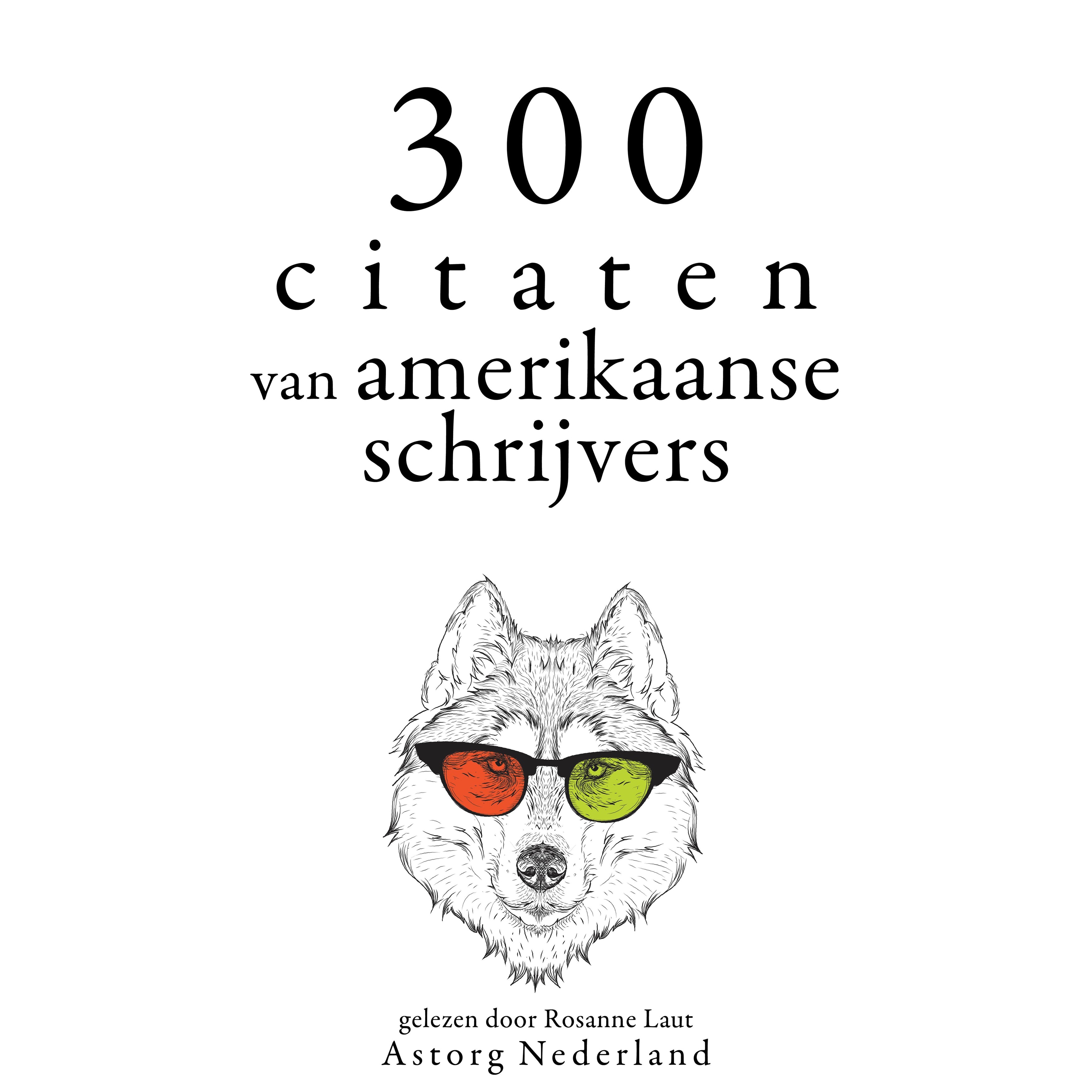300 citaten van Amerikaanse schrijvers