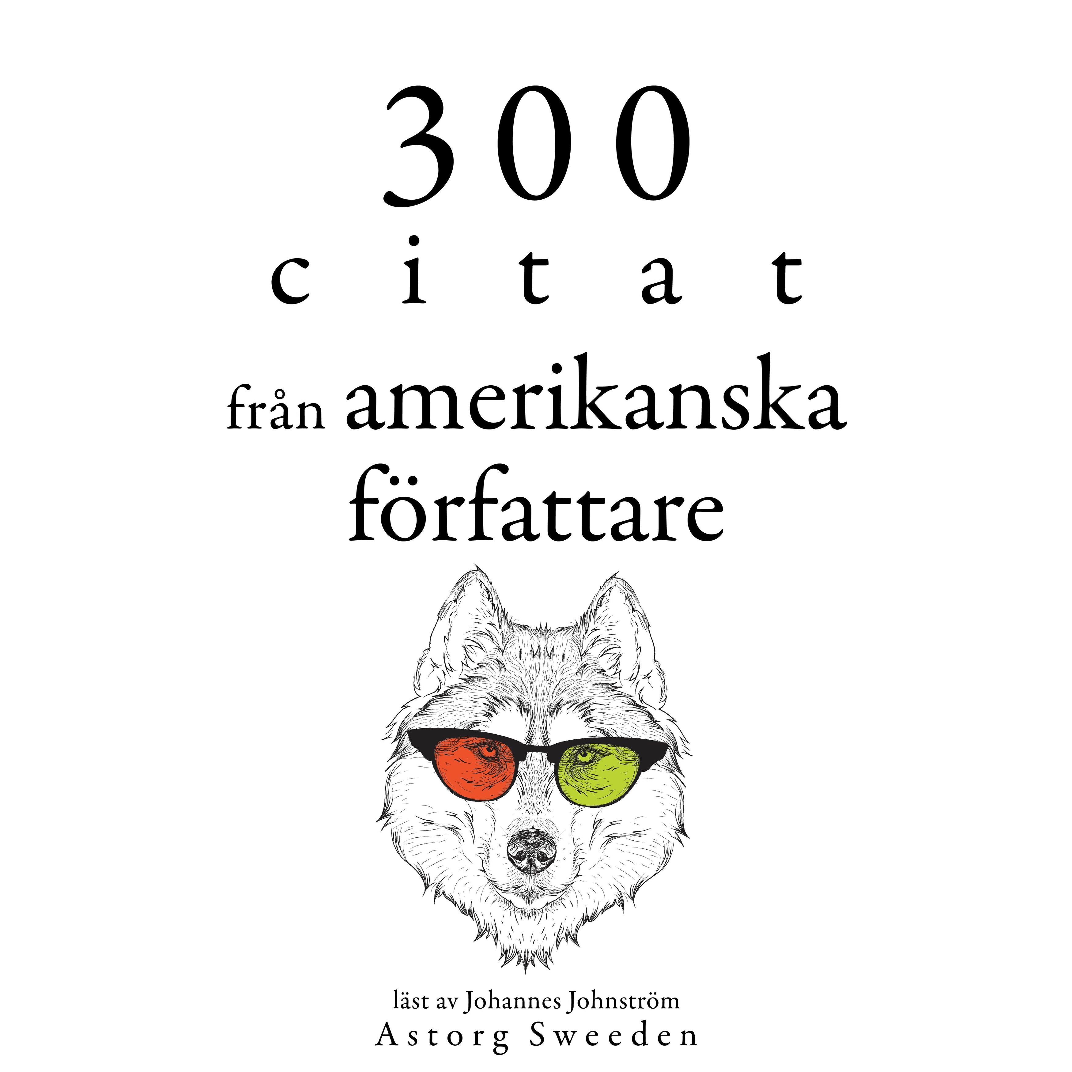 300 citat från amerikanska författare