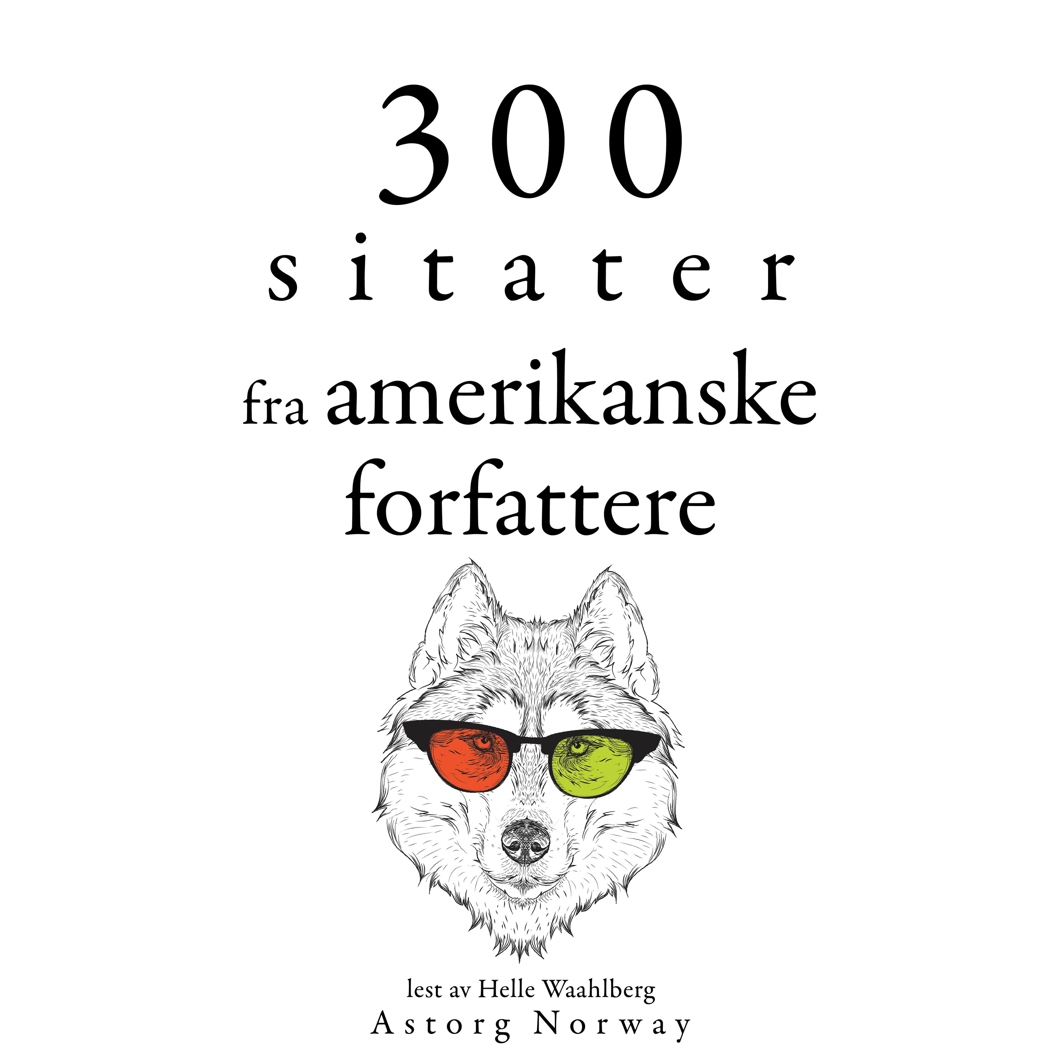 300 sitater fra amerikanske forfattere