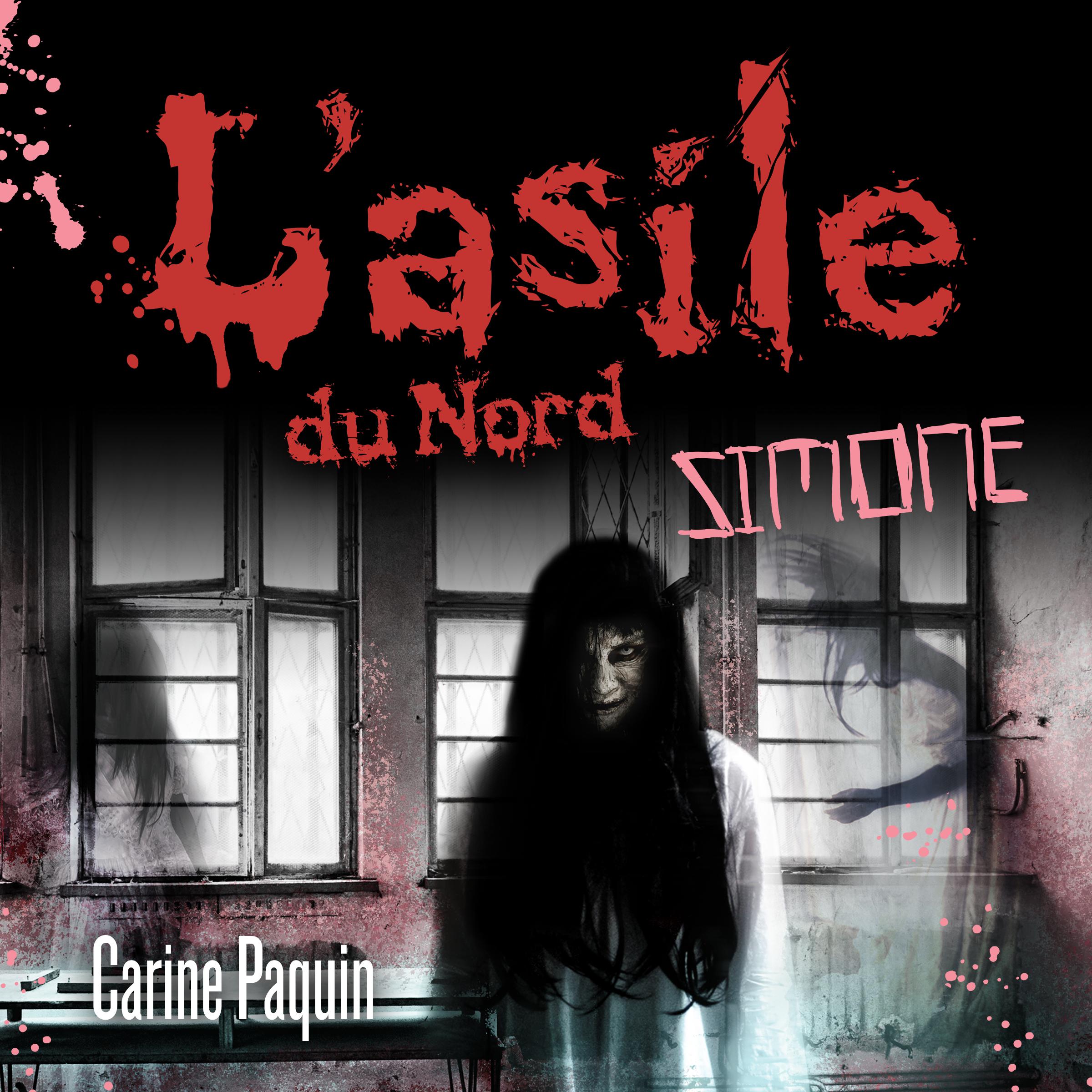 L'asile du Nord - Tome 3 : Simone, L'