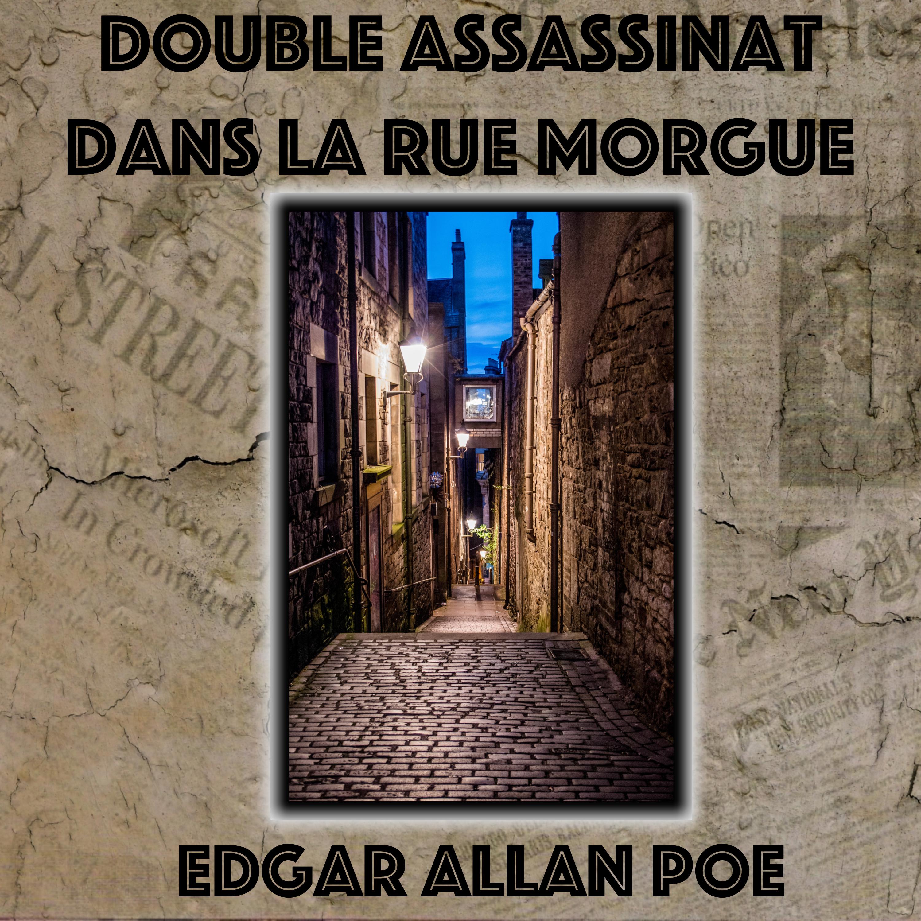 Double Assassinat dans la rue Morgue