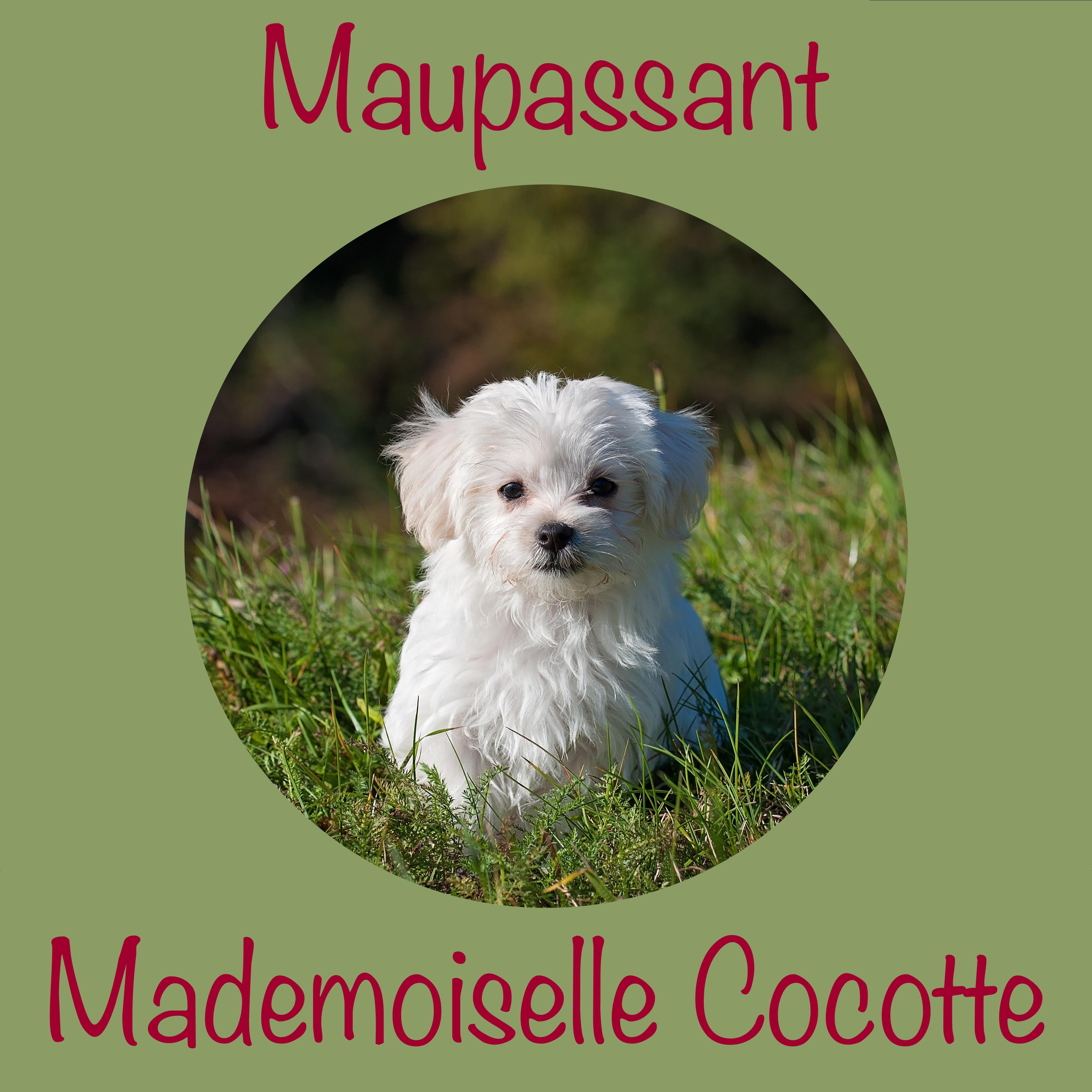 Mademoiselle Cocotte