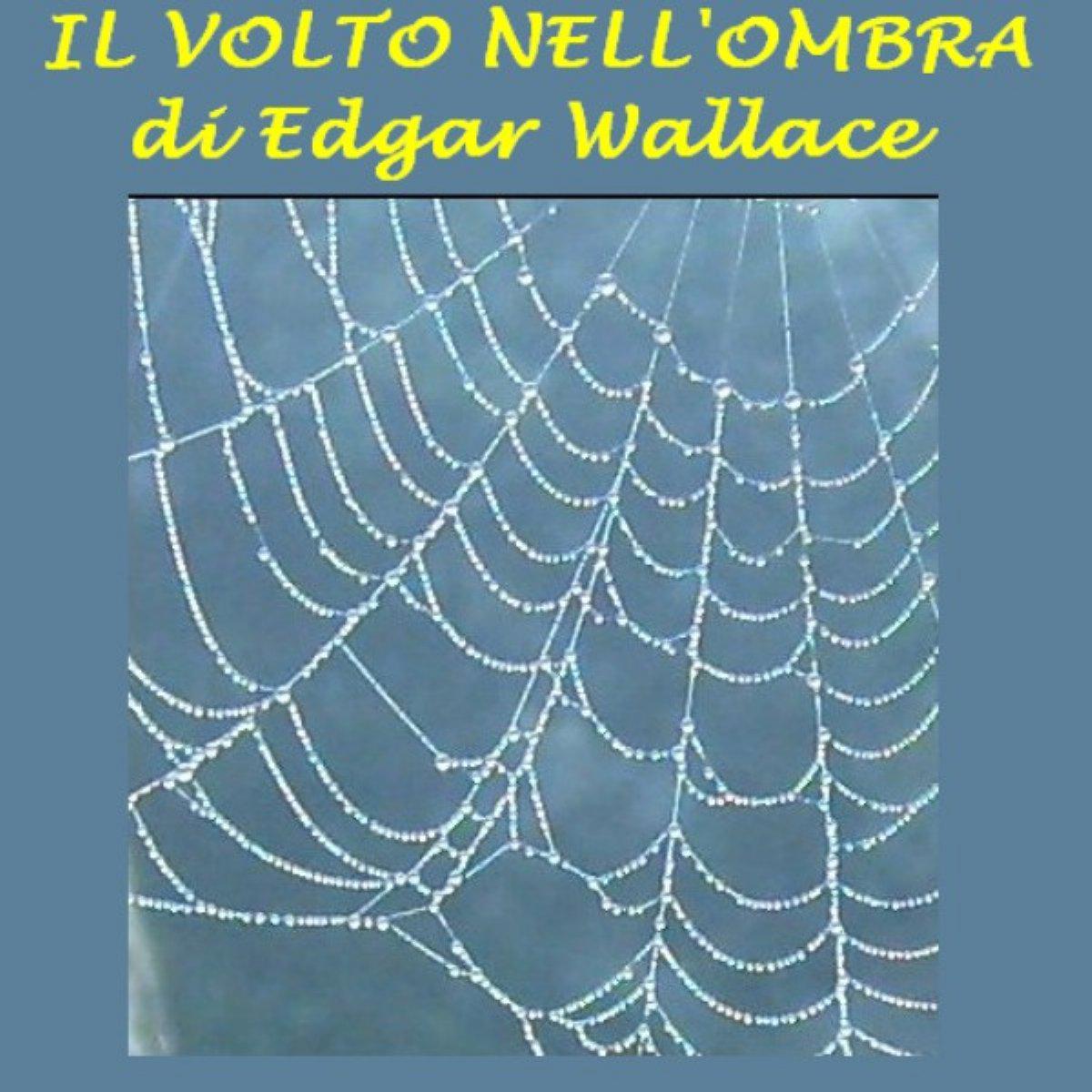 Volto nell'ombra, Il