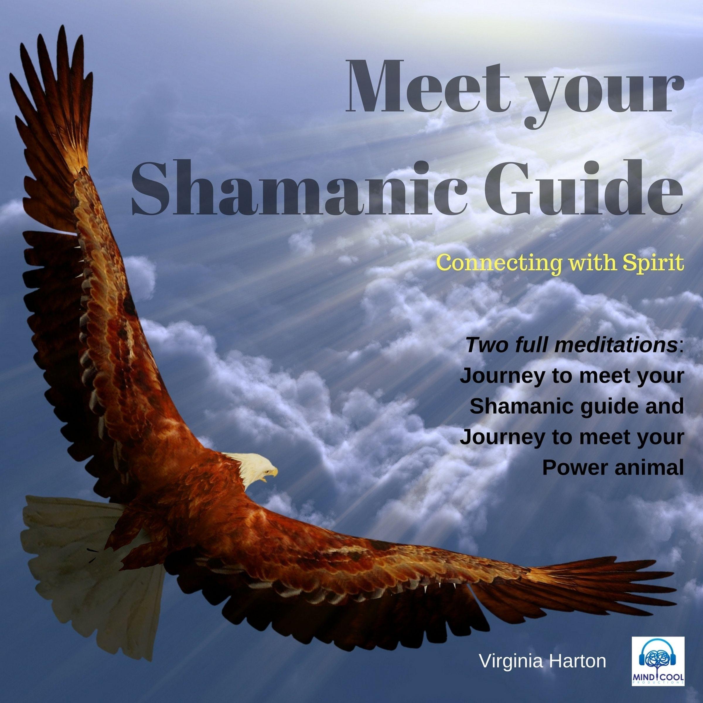 Meet Your Shamanic Guide