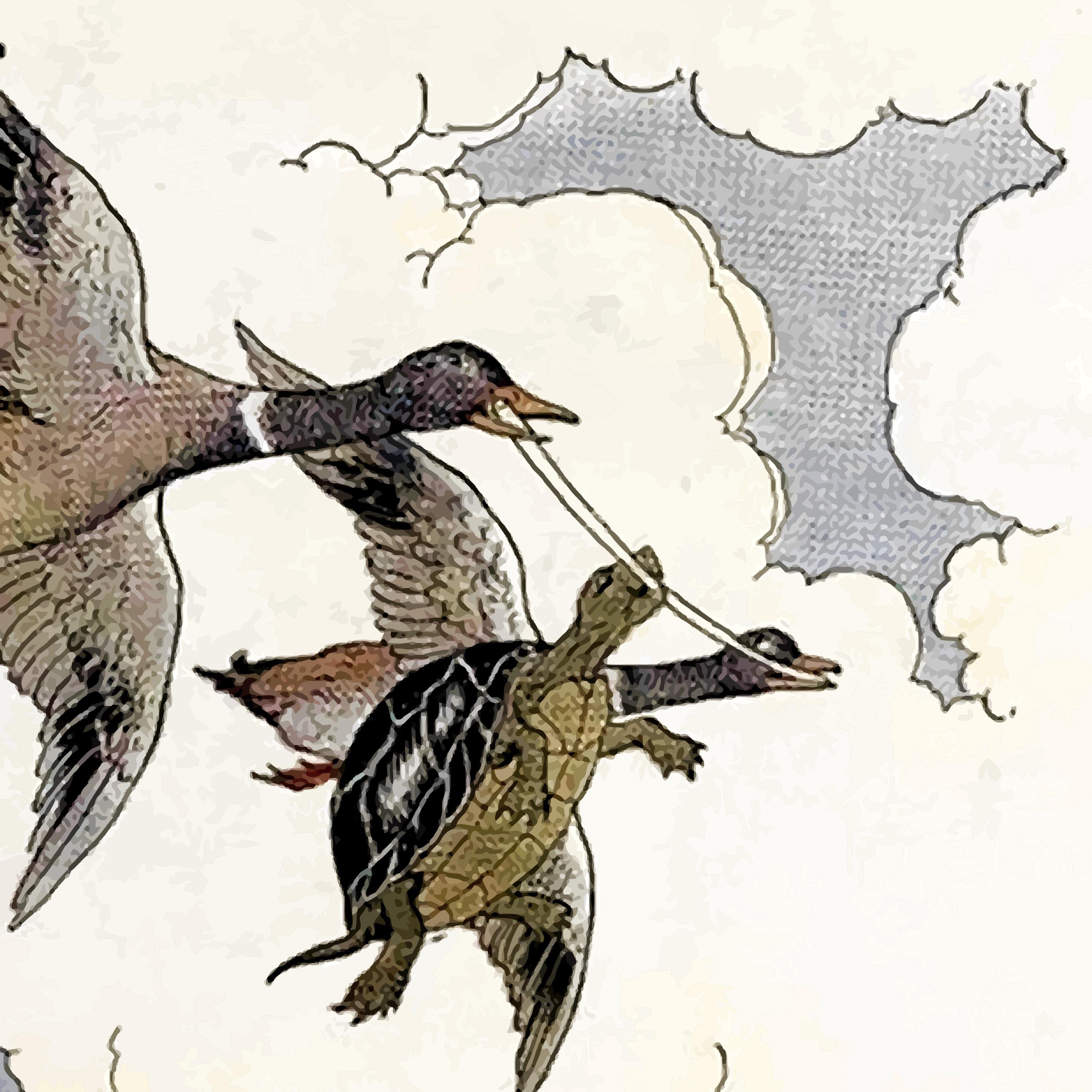 The Tortoise and the Geece