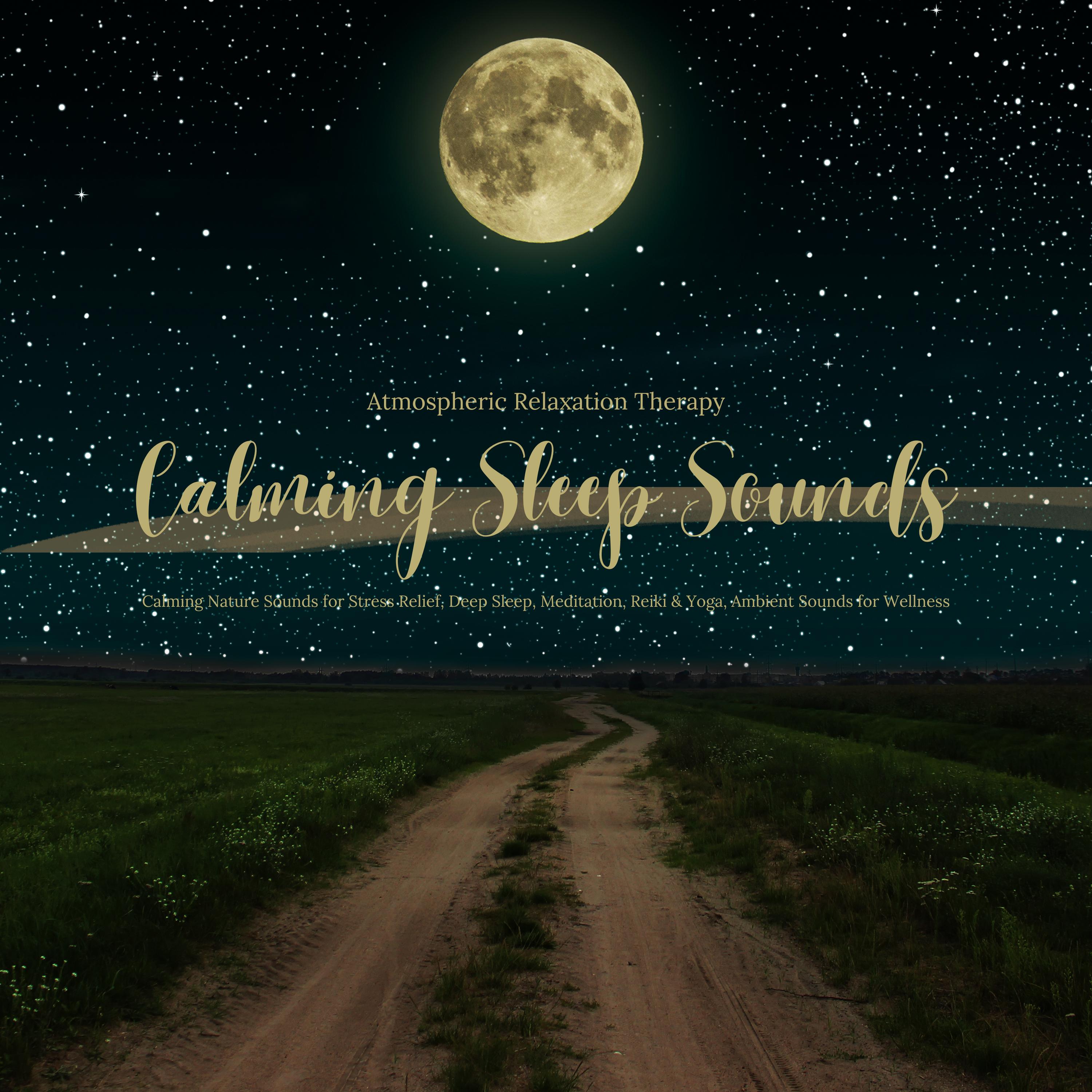 Calming Sleep Sounds - Ambient Relaxation Therapy - Calming Nature Sounds