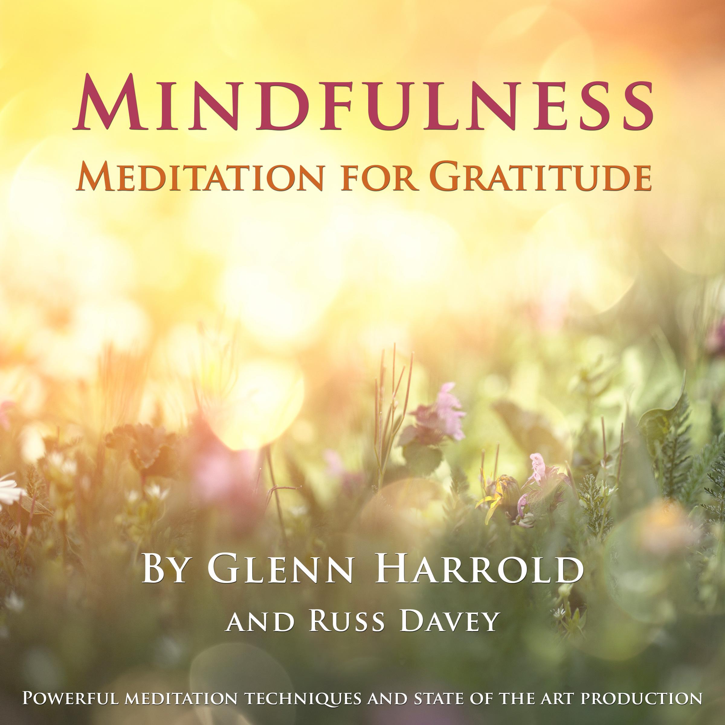 Mindfulness Meditation for Gratitude