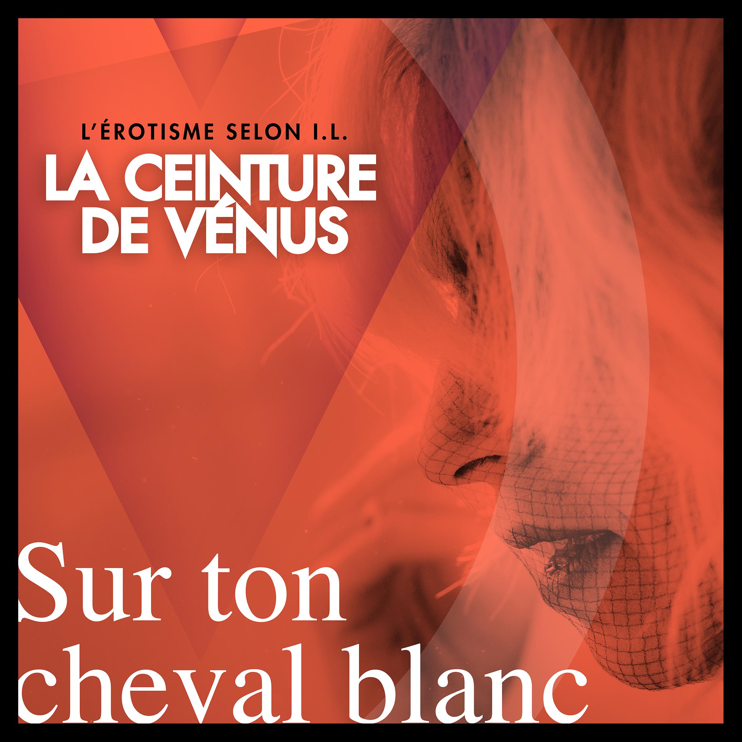 Sur ton cheval blanc