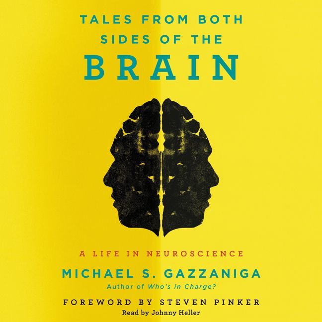 Tales from Both Sides of the Brain
