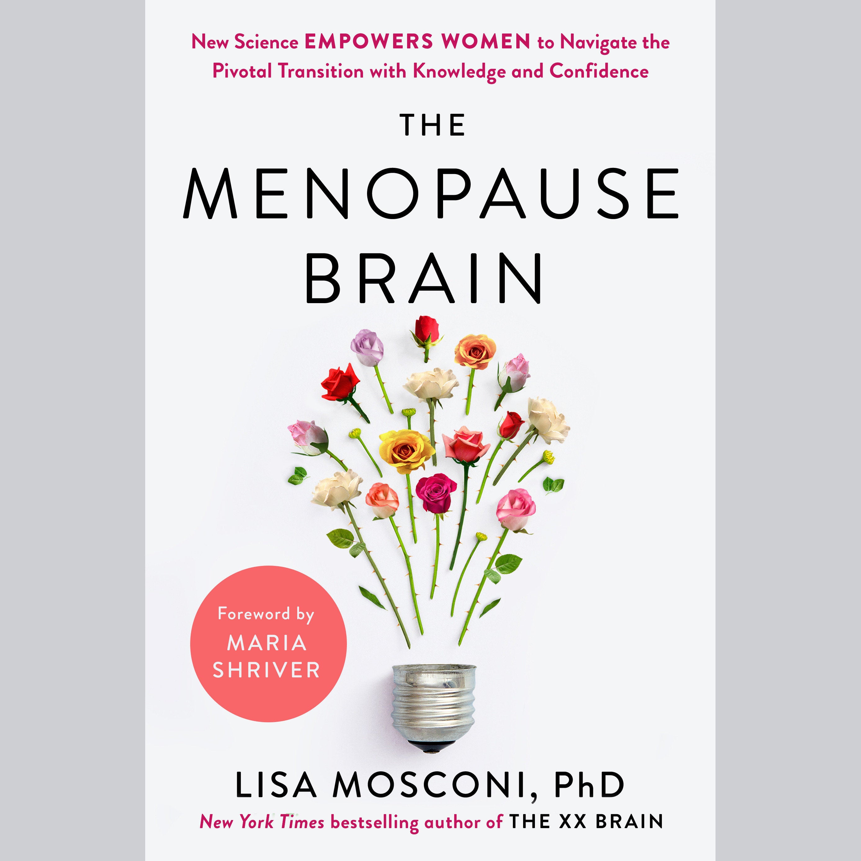 The Menopause Brain
