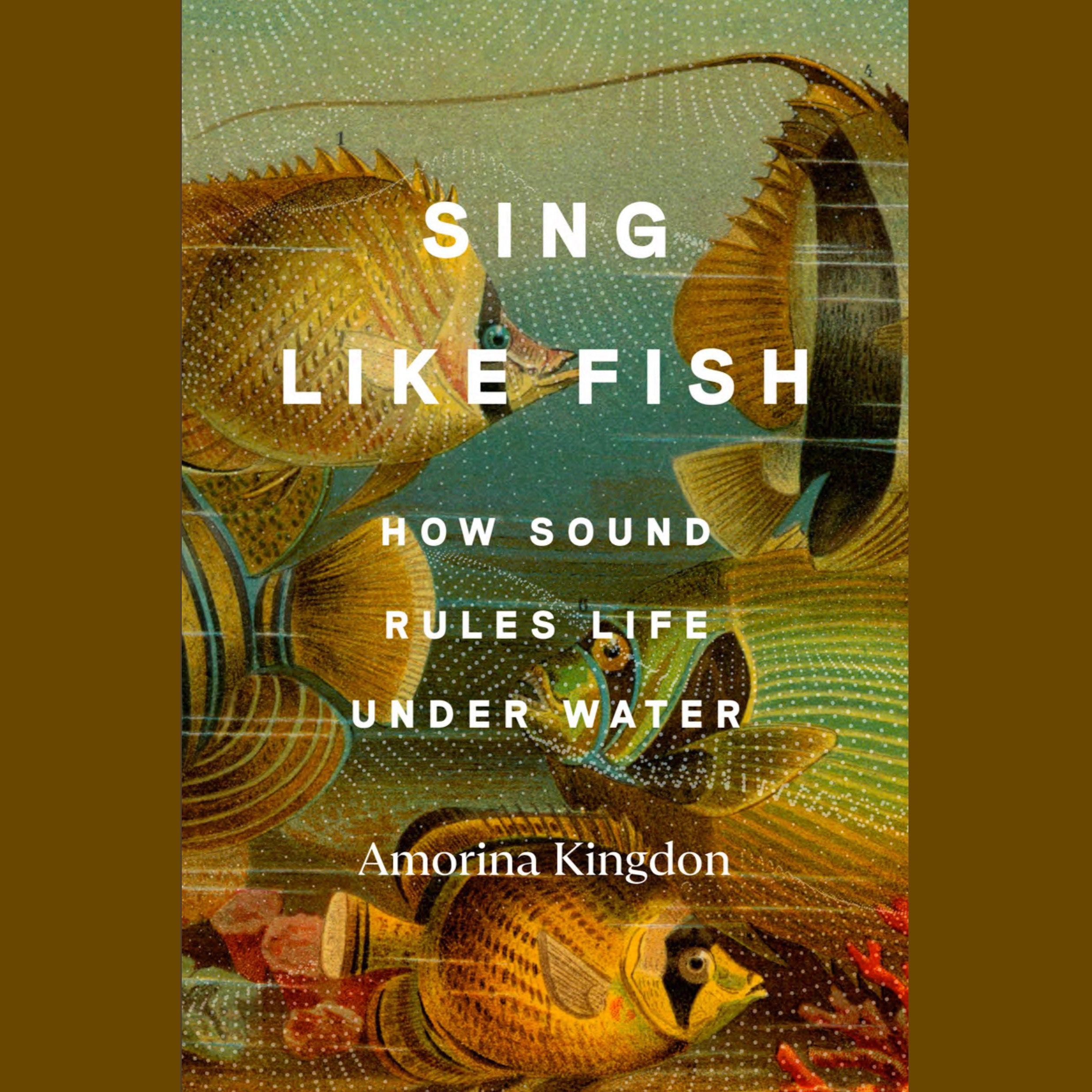 Sing Like Fish