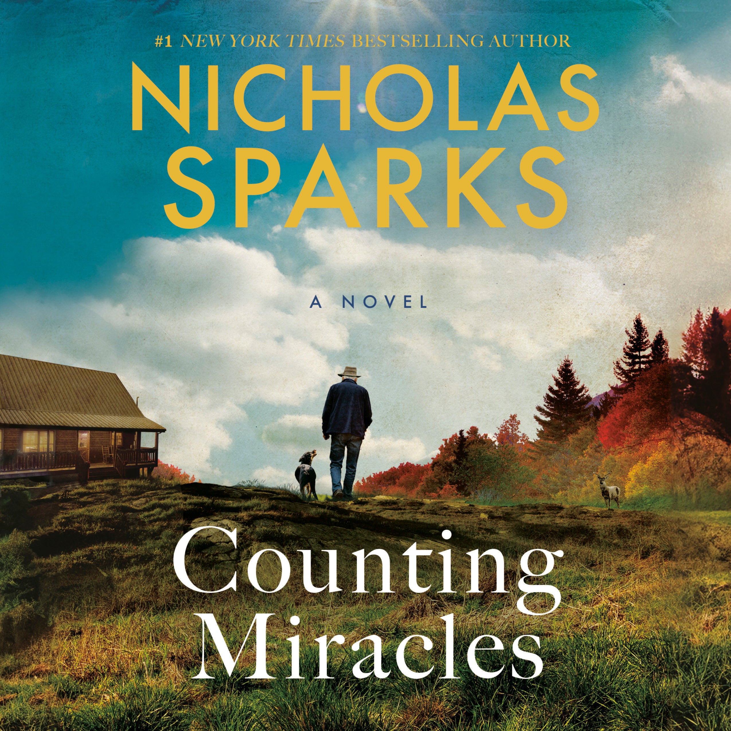 Counting Miracles