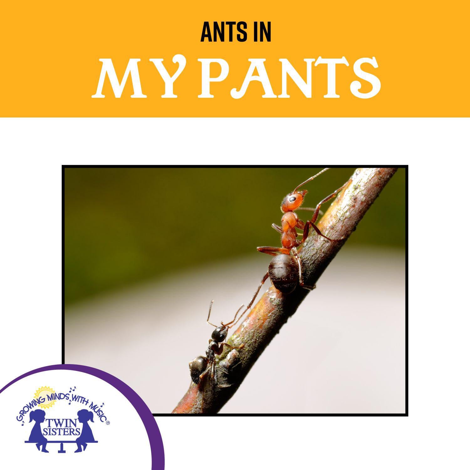 Ants In My Pants