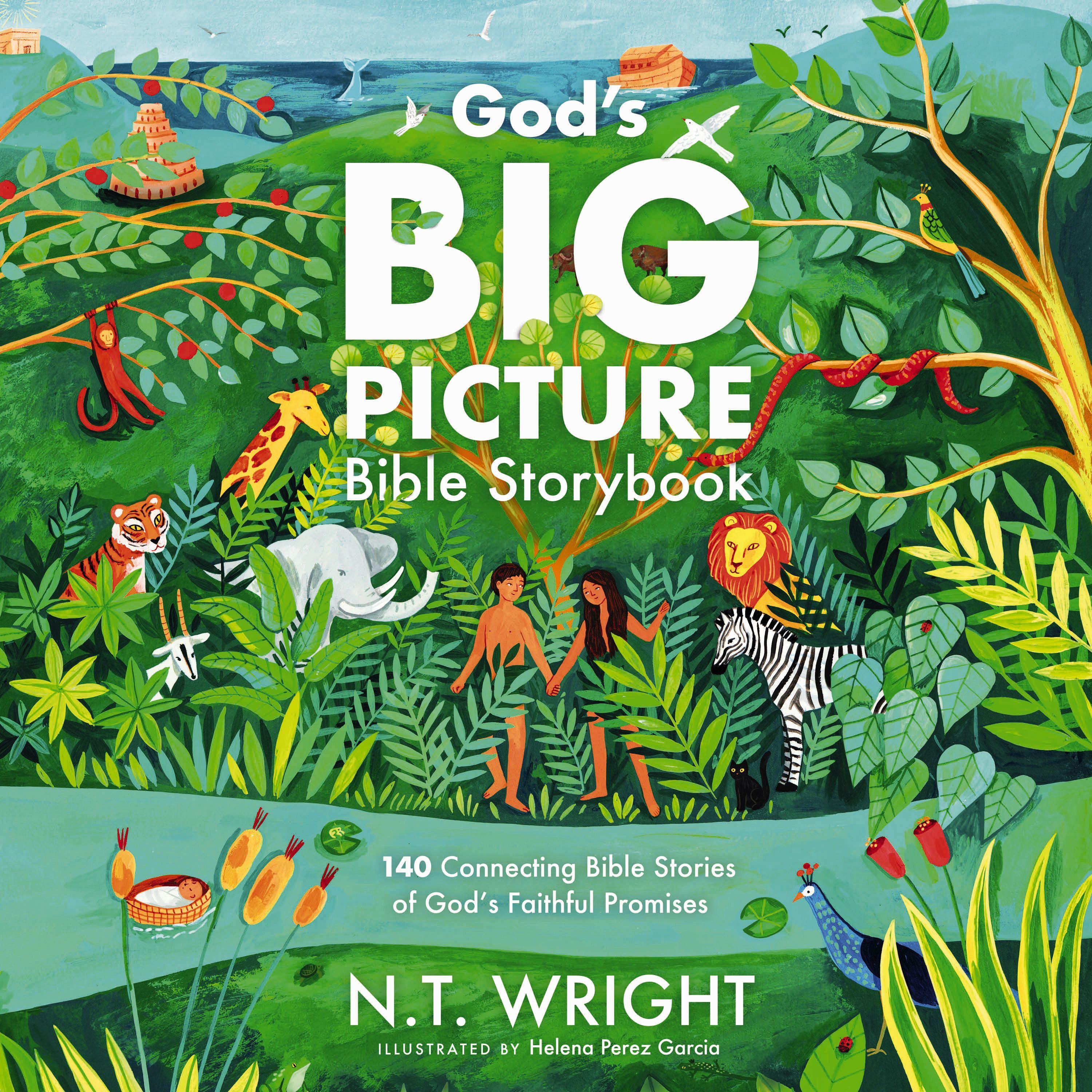 God's Big Picture Bible Storybook