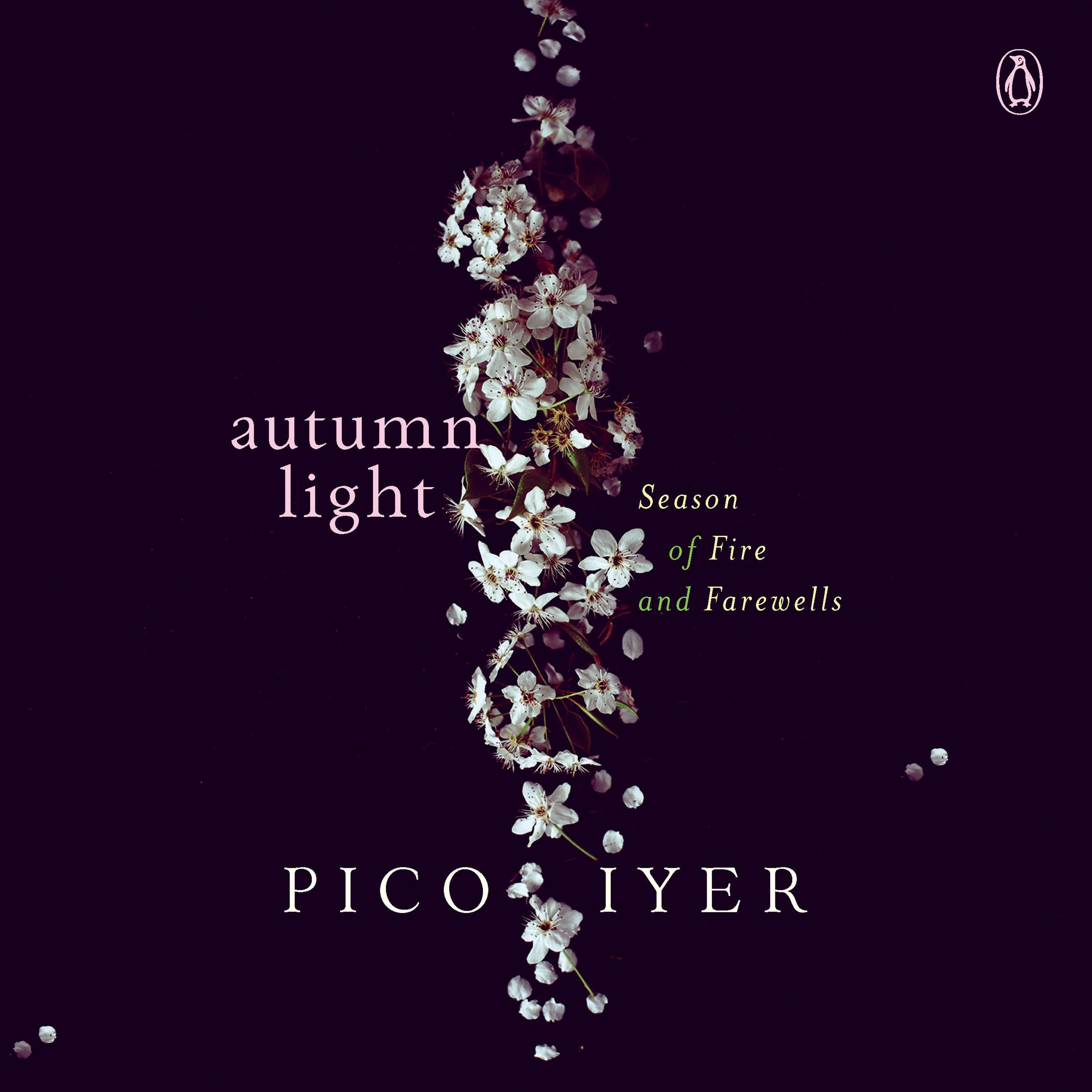 Autumn Light: Season of Fire and Firewalls