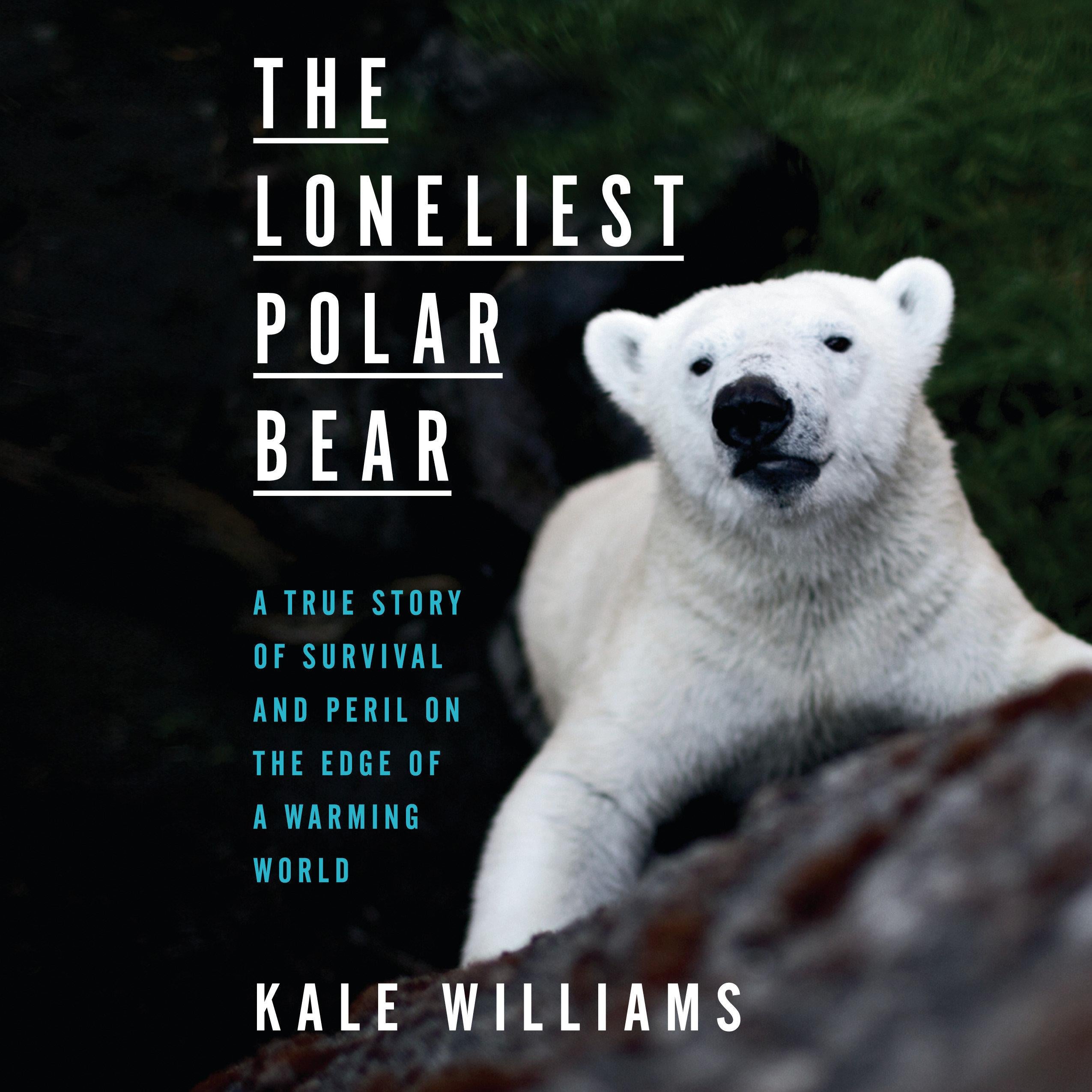 The Loneliest Polar Bear