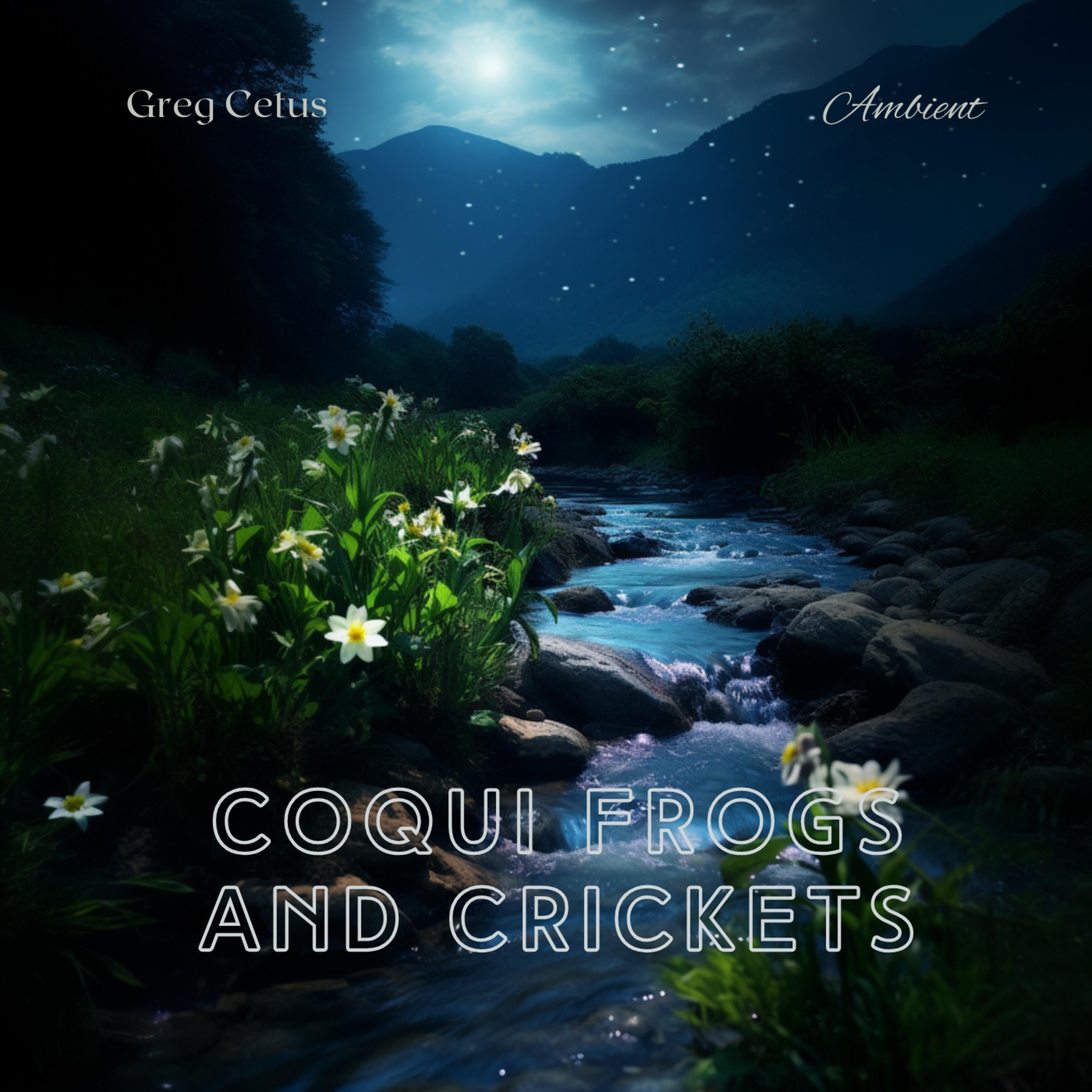 Coqui Frogs and Crickets: Tropical Night Ambient Sounds