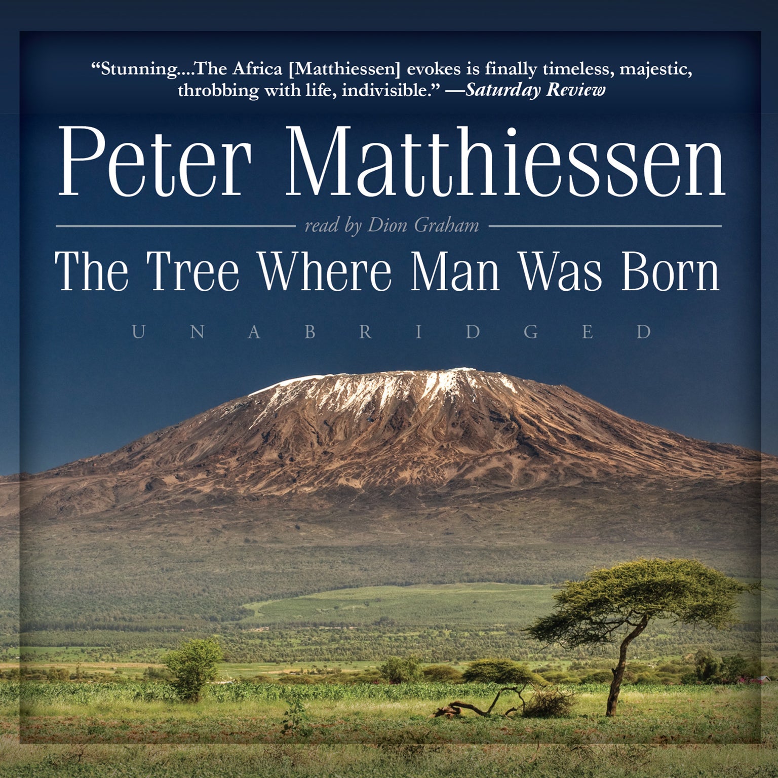 The Tree Where Man Was Born