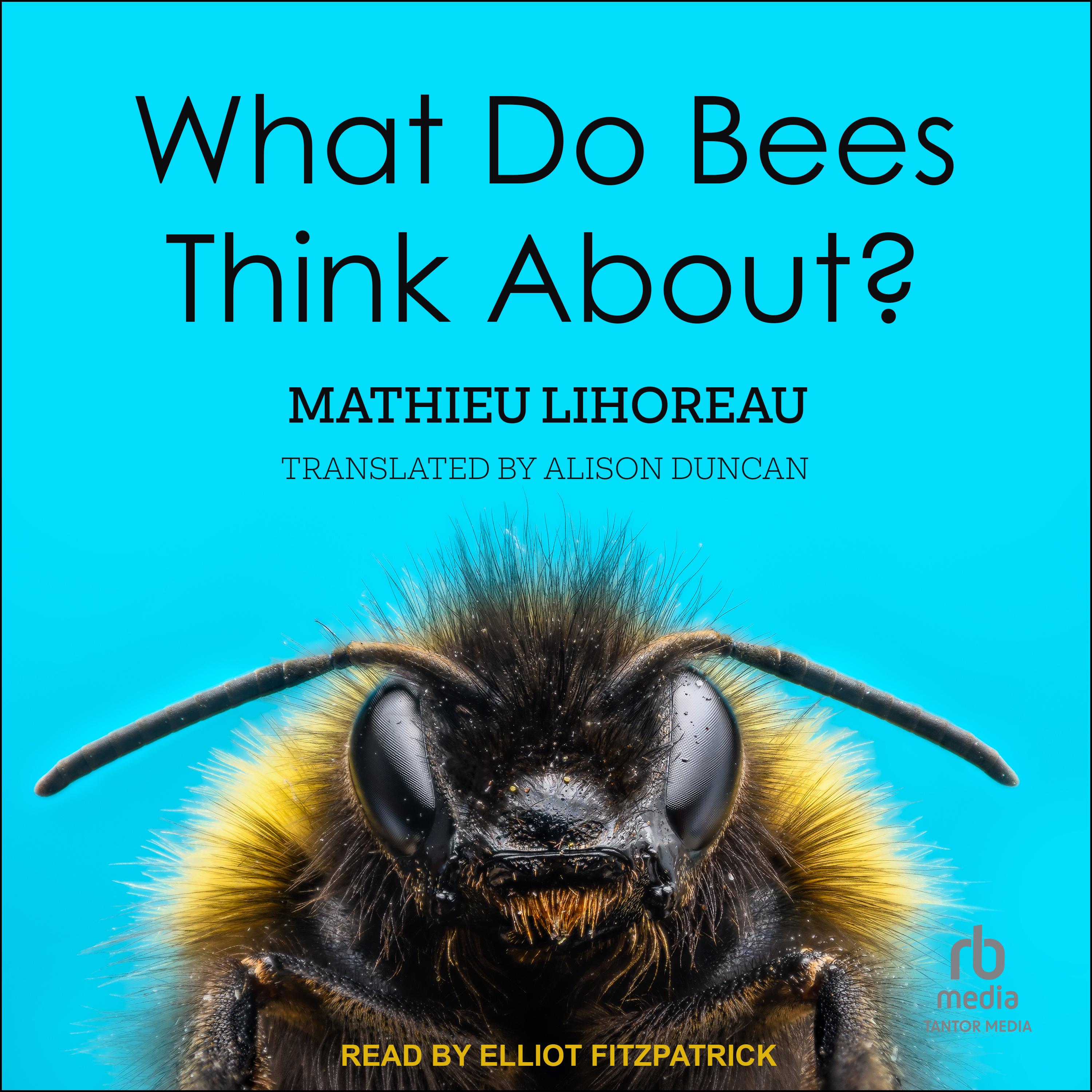 What Do Bees Think About?