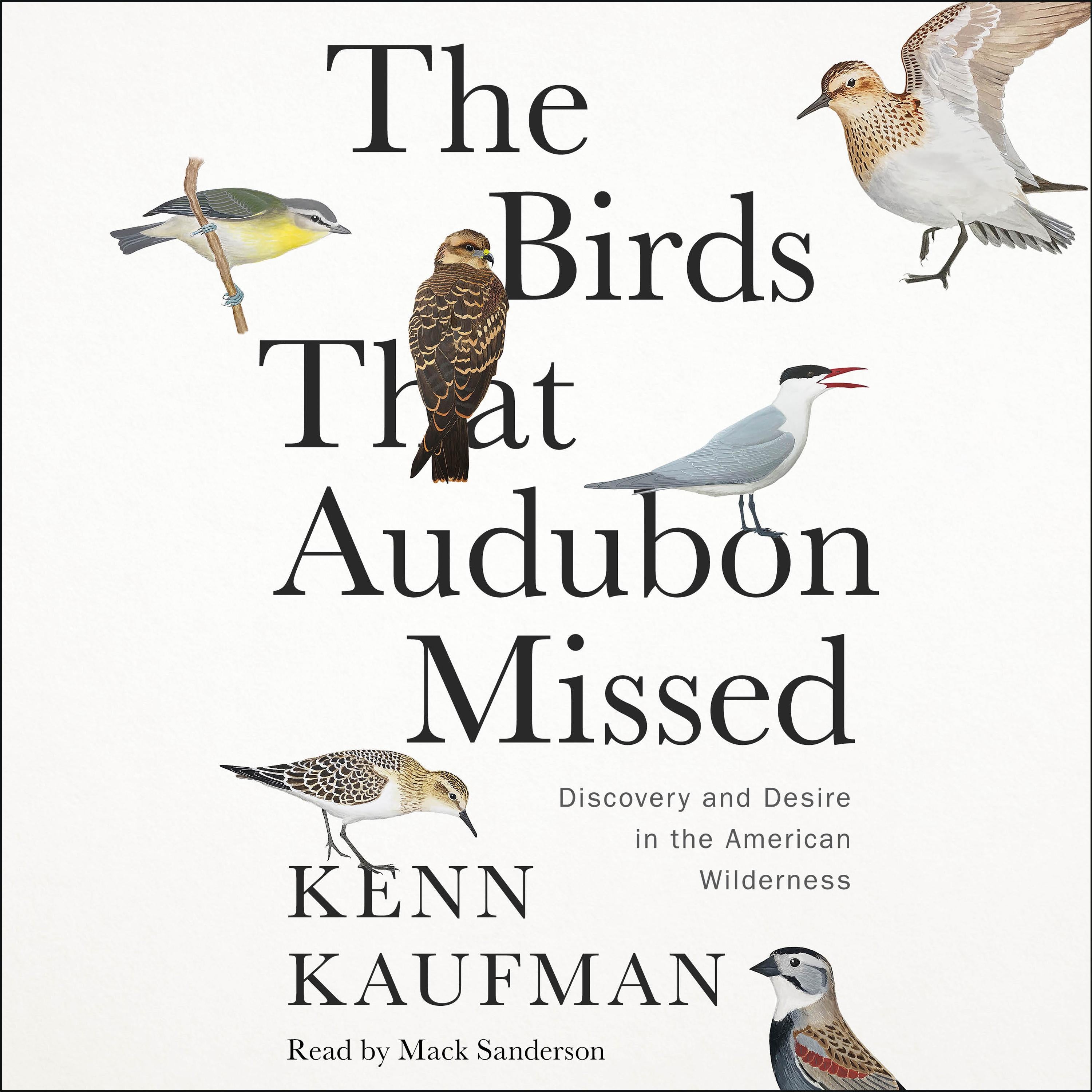 The Birds That Audubon Missed
