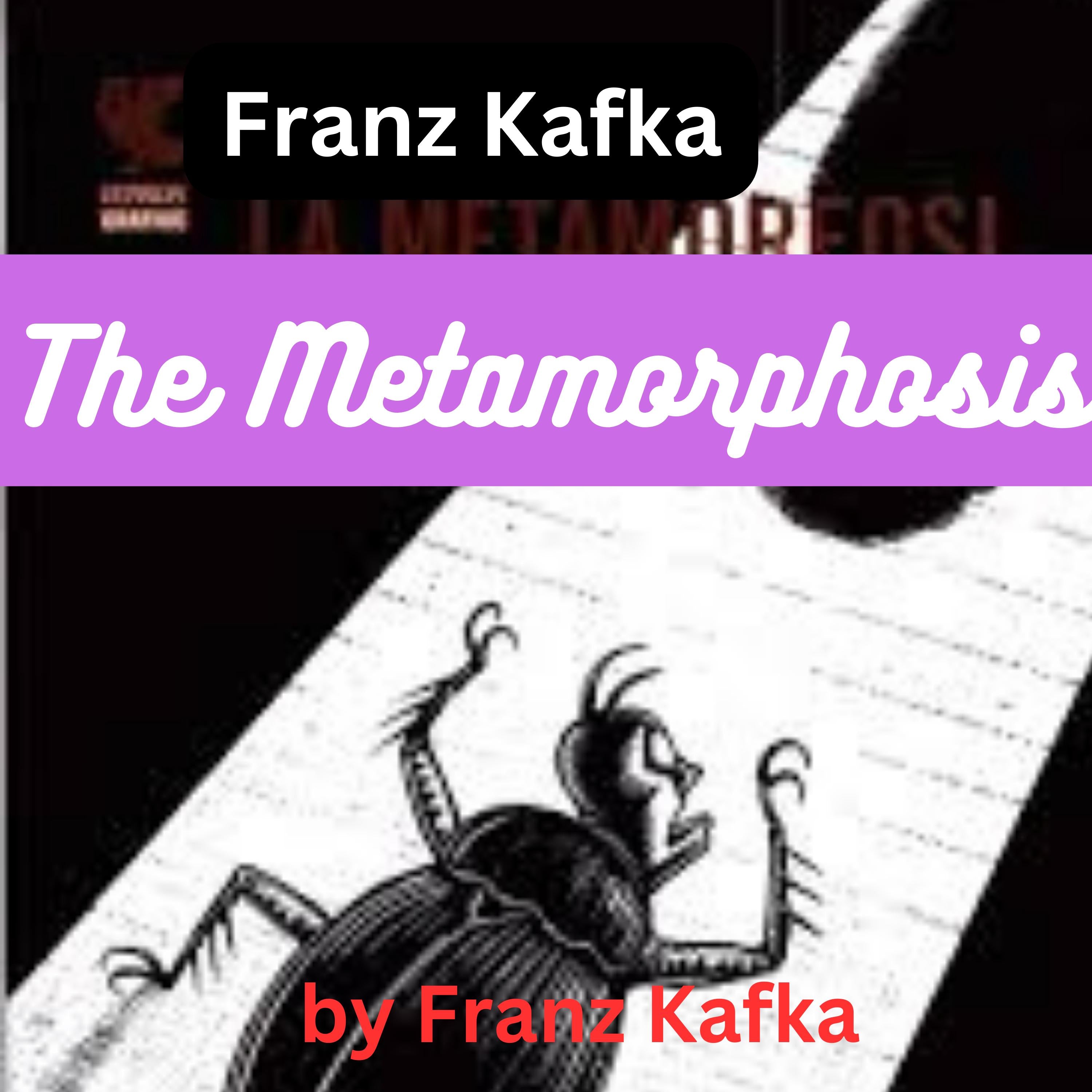 Franz Kafka: The Metamorphosis