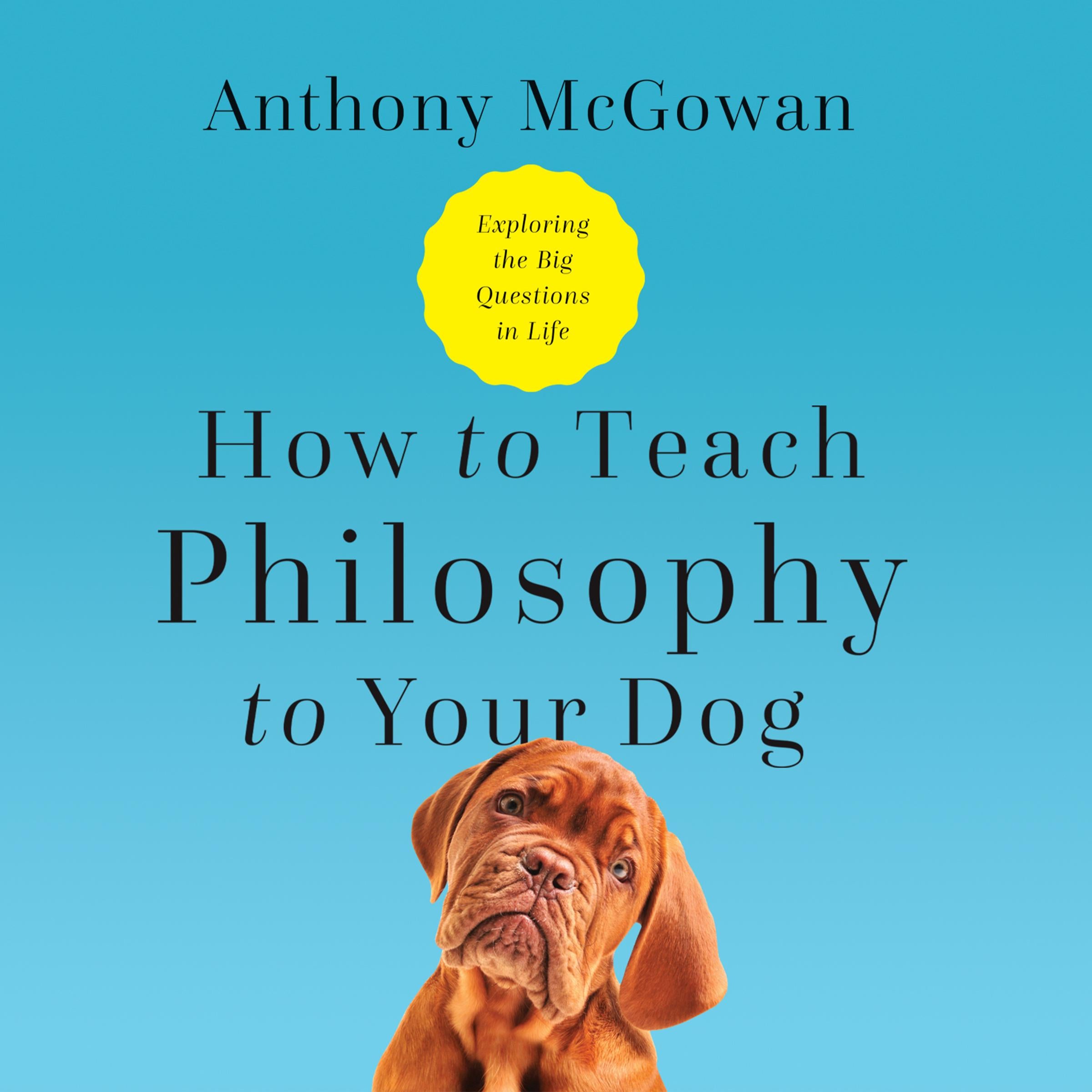 How to Teach Philosophy to Your Dog