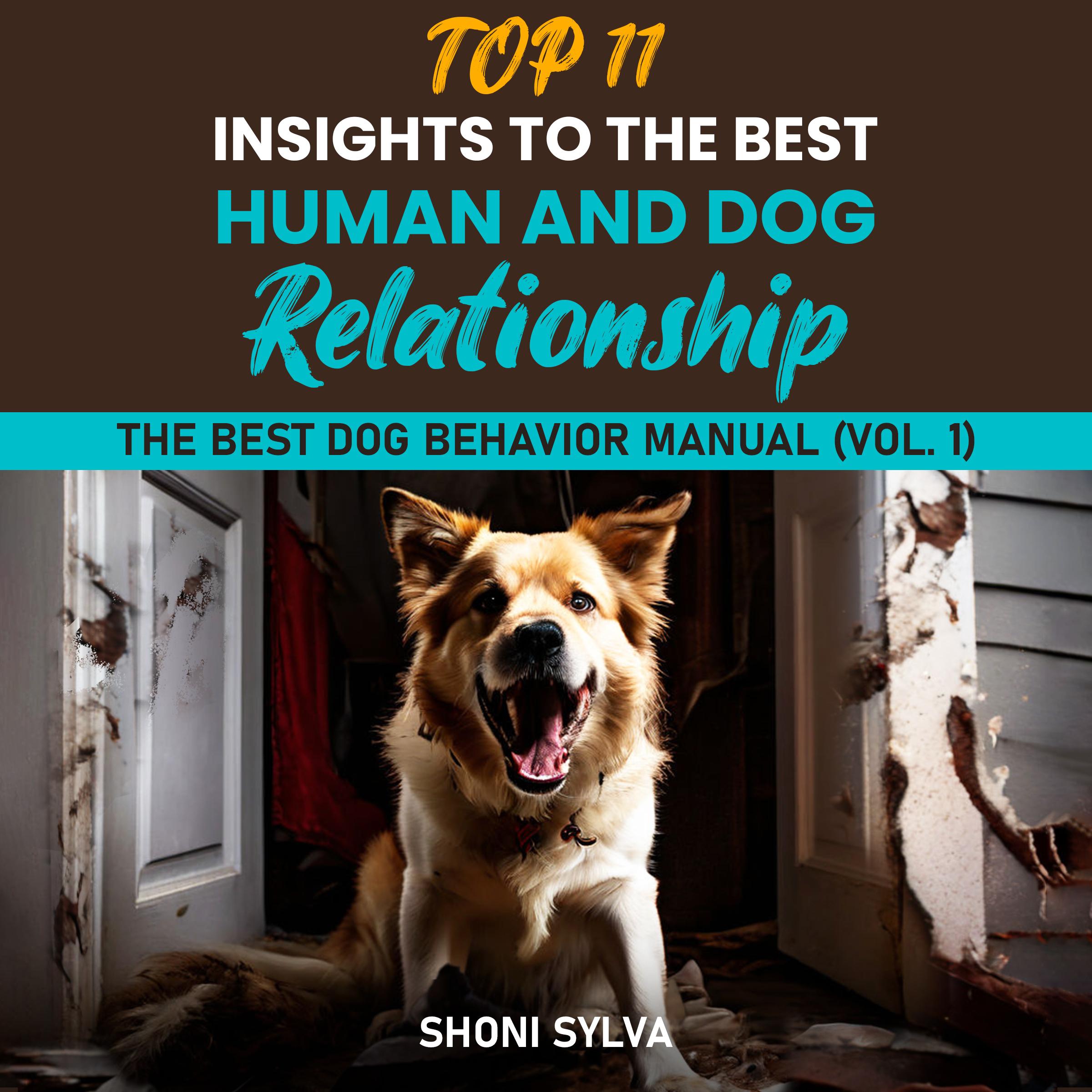 Top 11 Insights To The Best Human And Dog Relationship