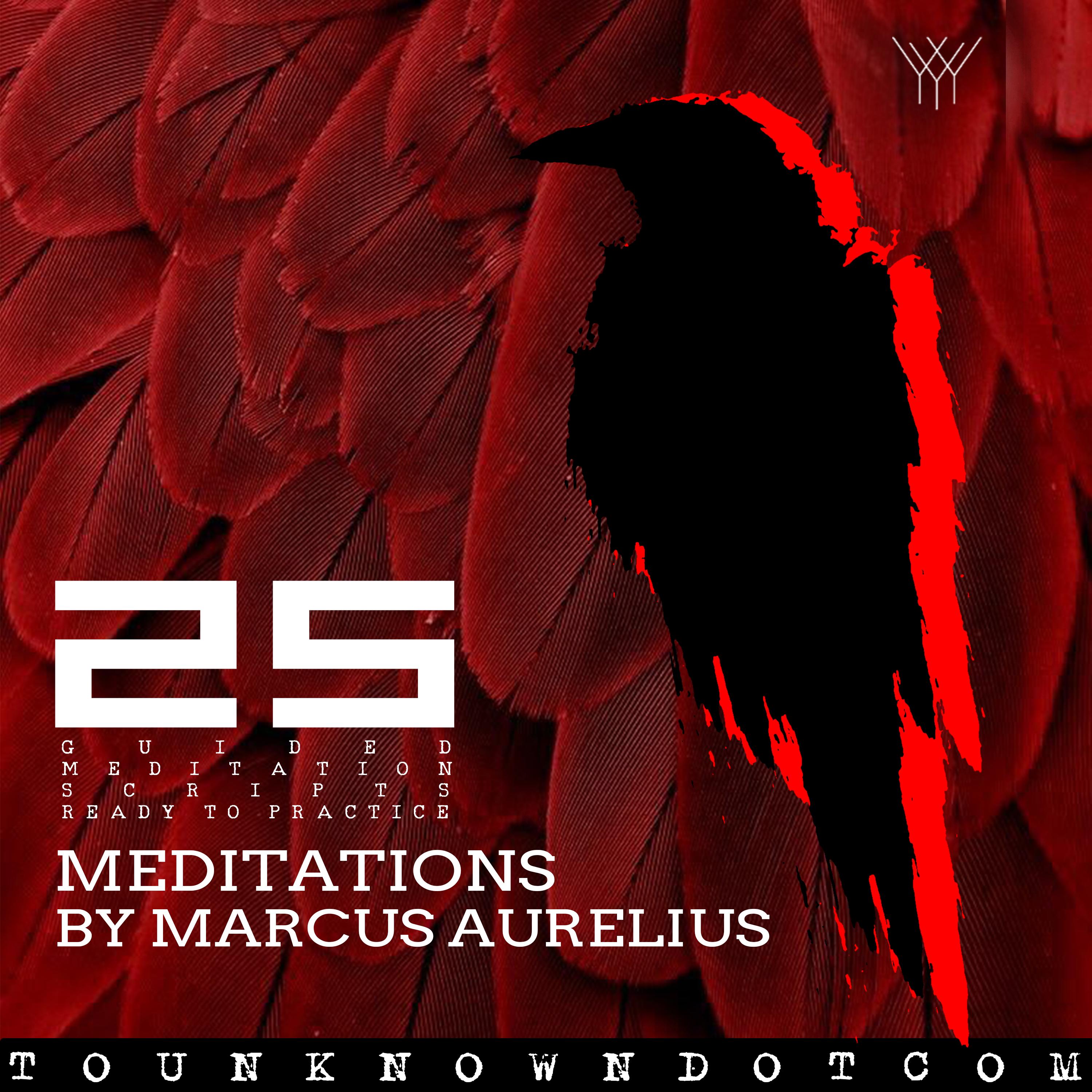 Meditations By Marcus Aurelius: 25 Guided Meditation Scripts Ready To Practice