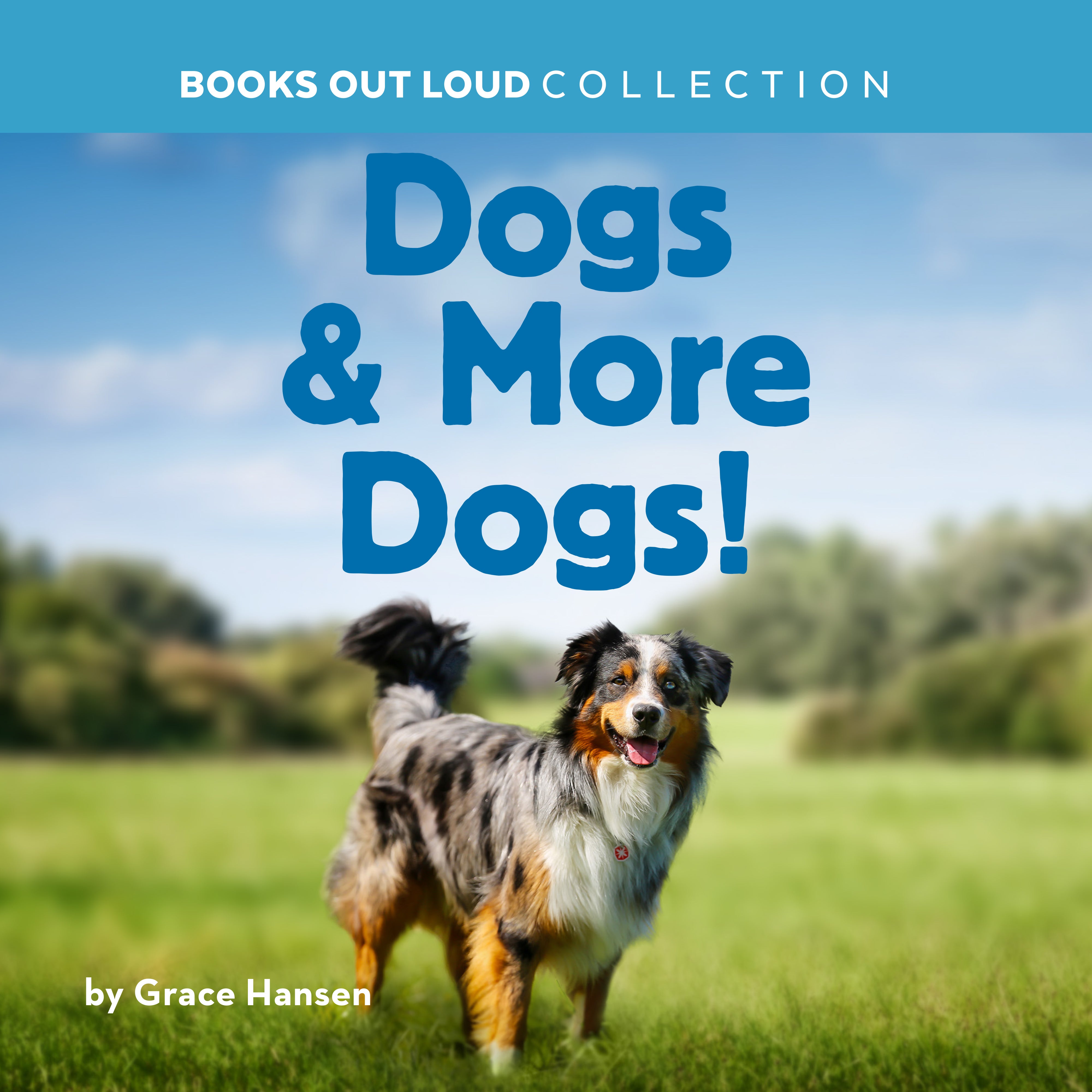Dogs &amp; More Dogs!