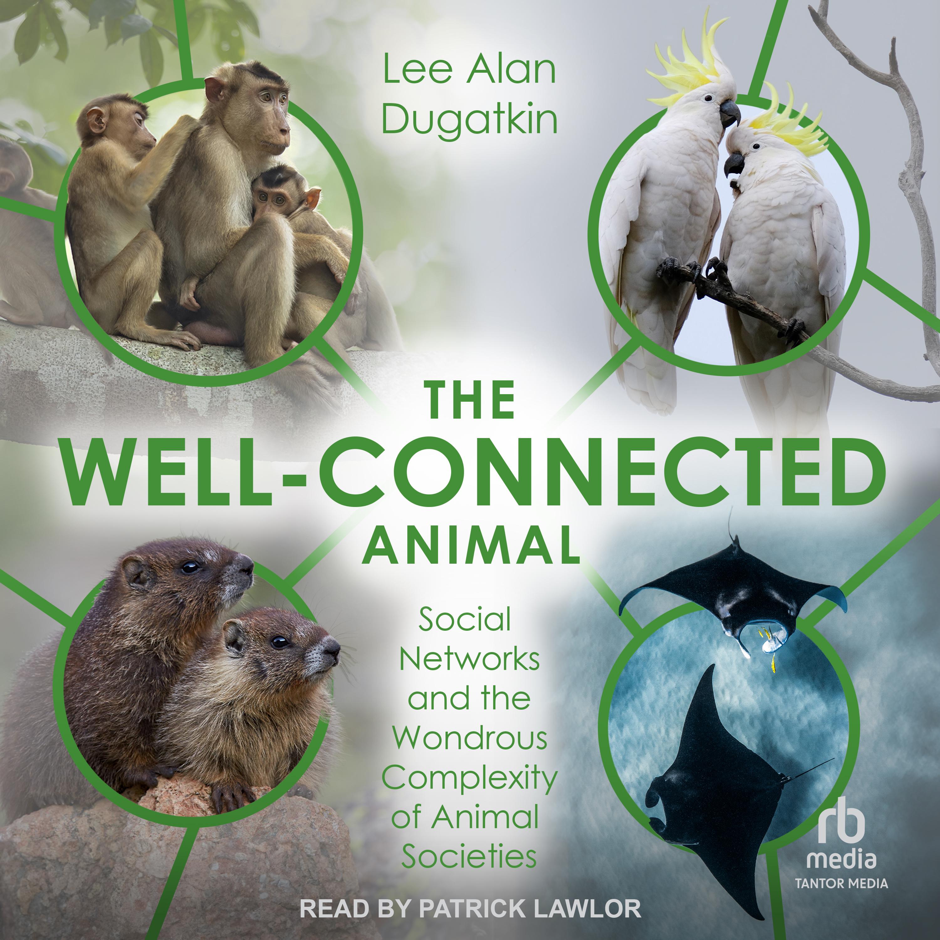 The Well-Connected Animal