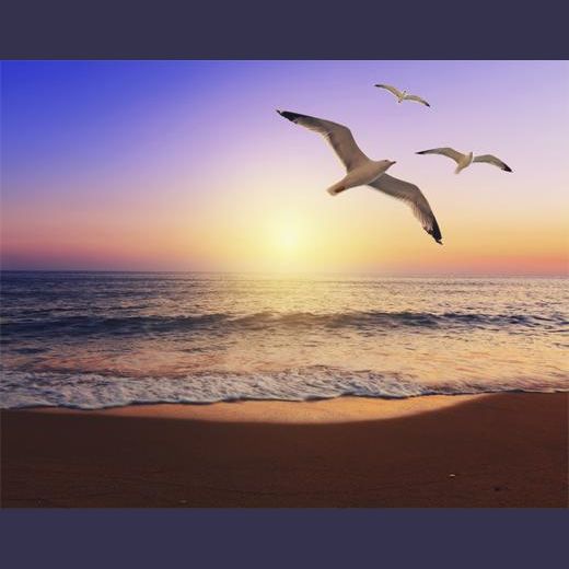 Meditation for Healing the Heart (With Soothing Nature Sounds)