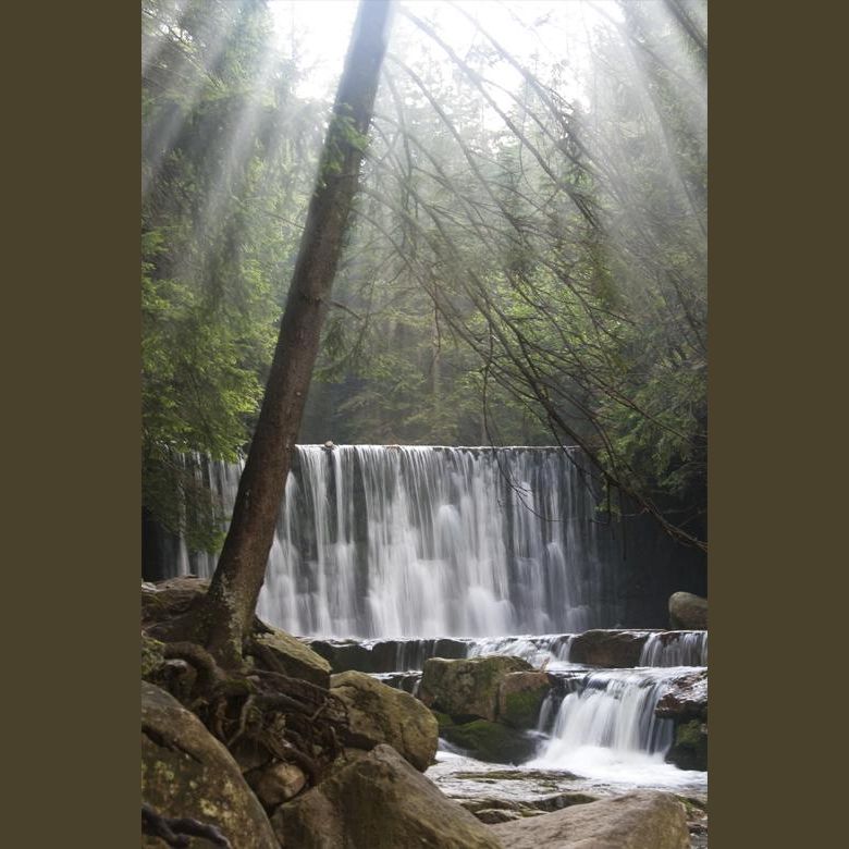 Living with Mindfulness, Purpose & Peace (With Soothing Nature Sounds)