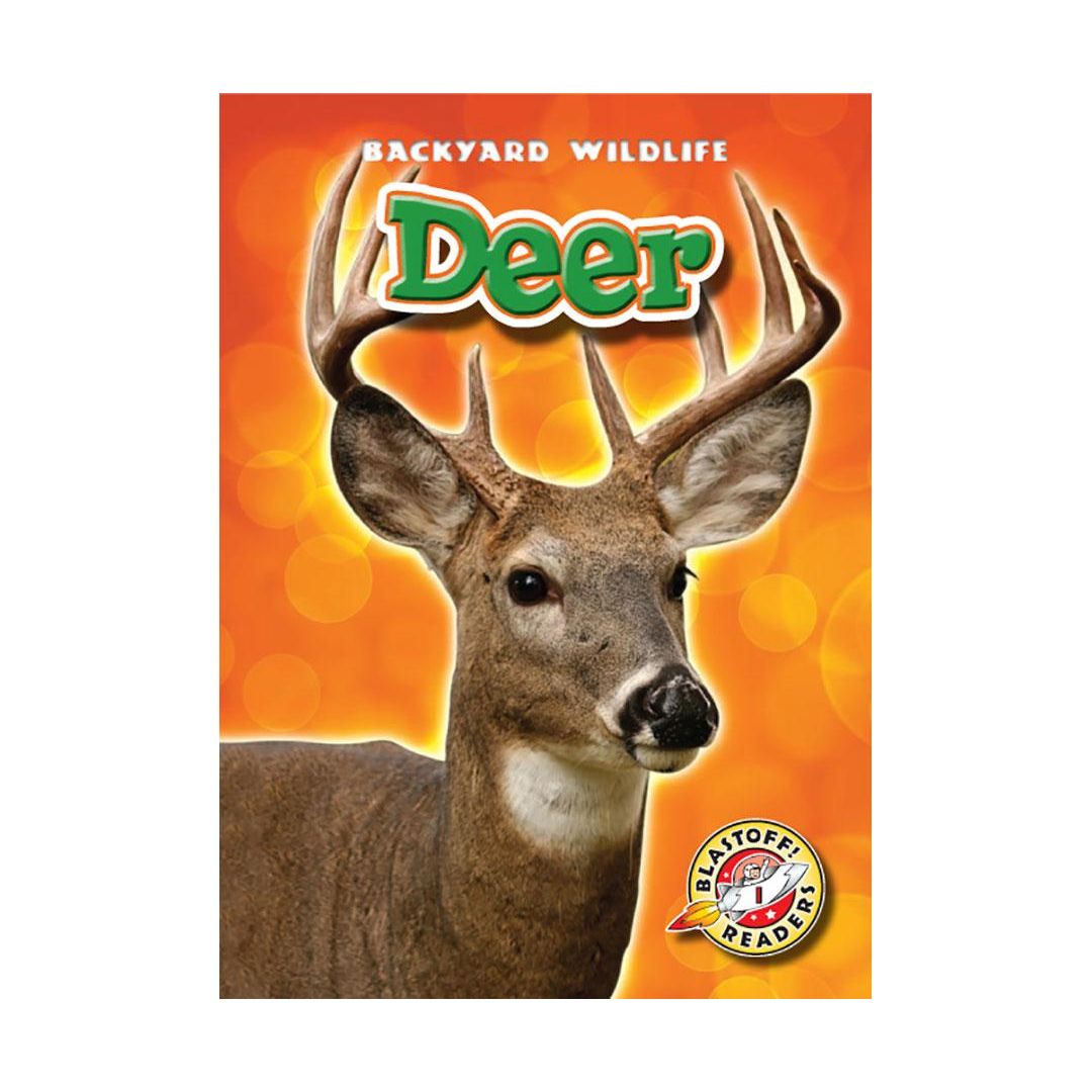 Deer