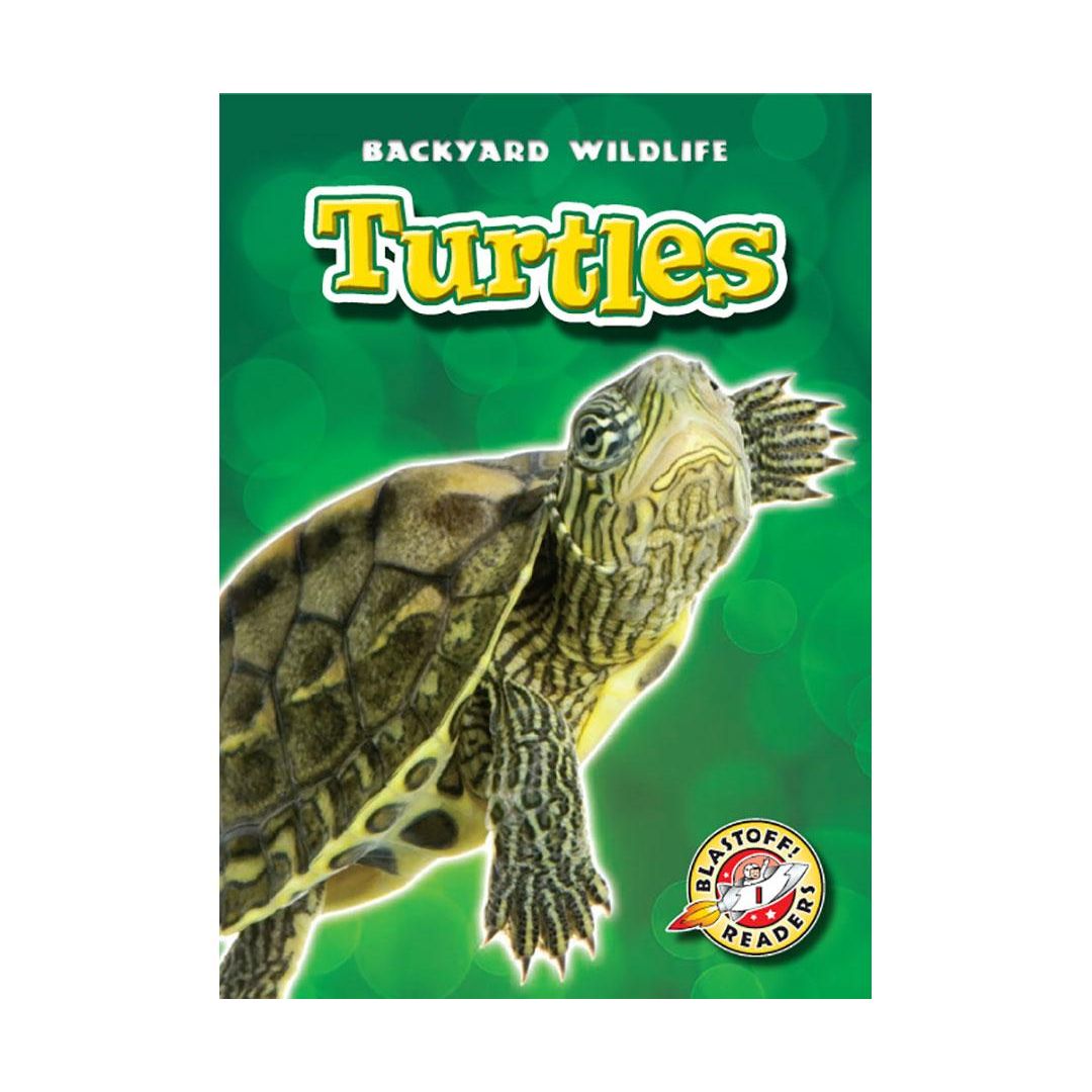 Turtles