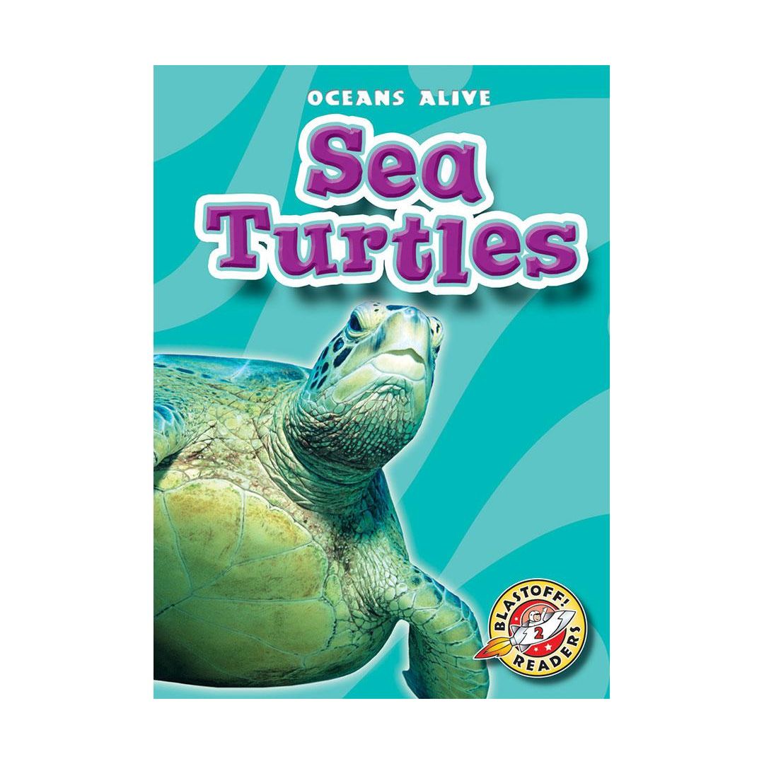 Sea Turtles