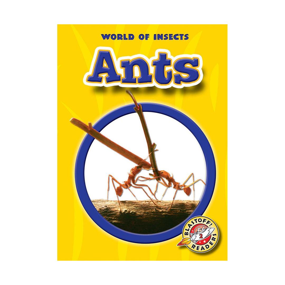 Ants