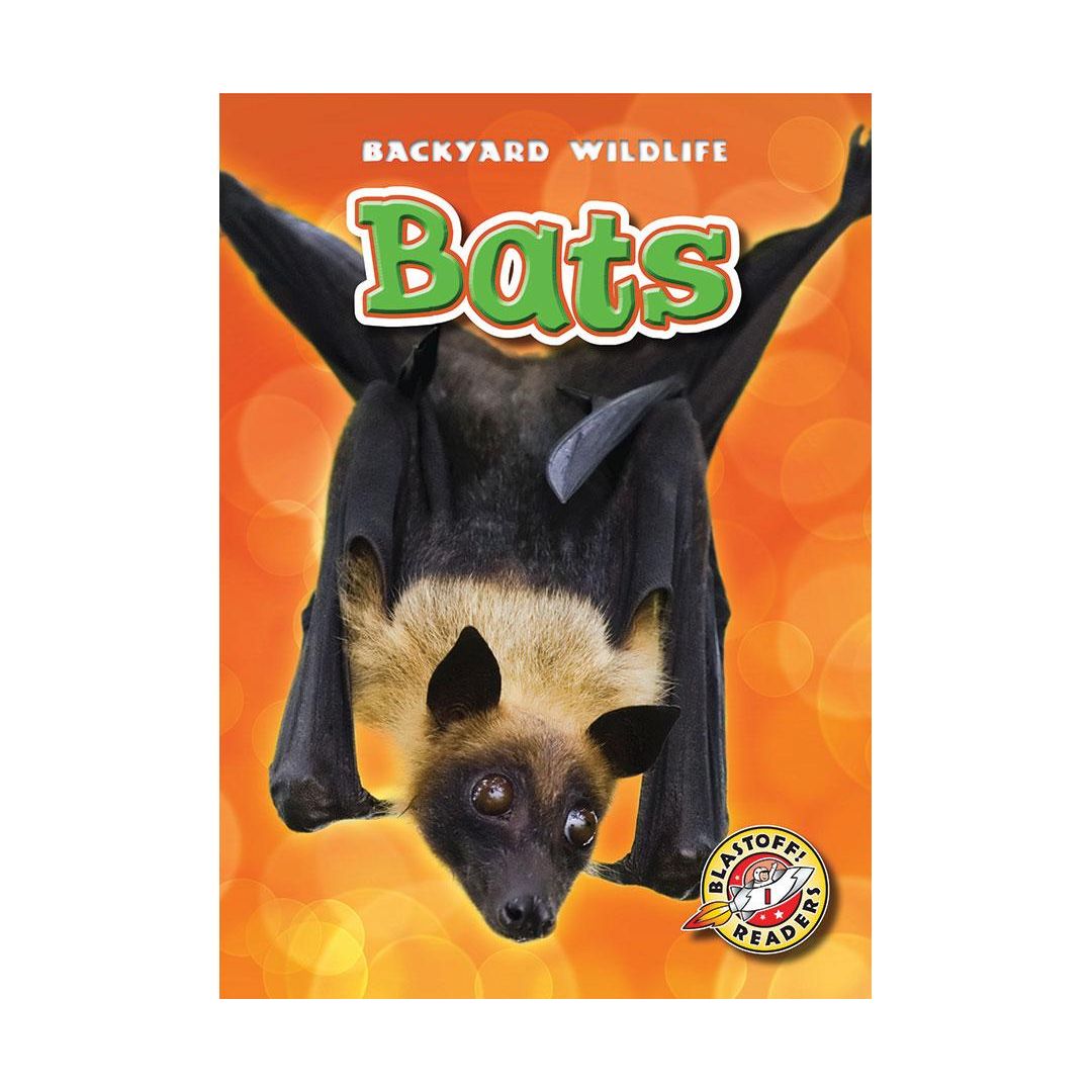 Bats