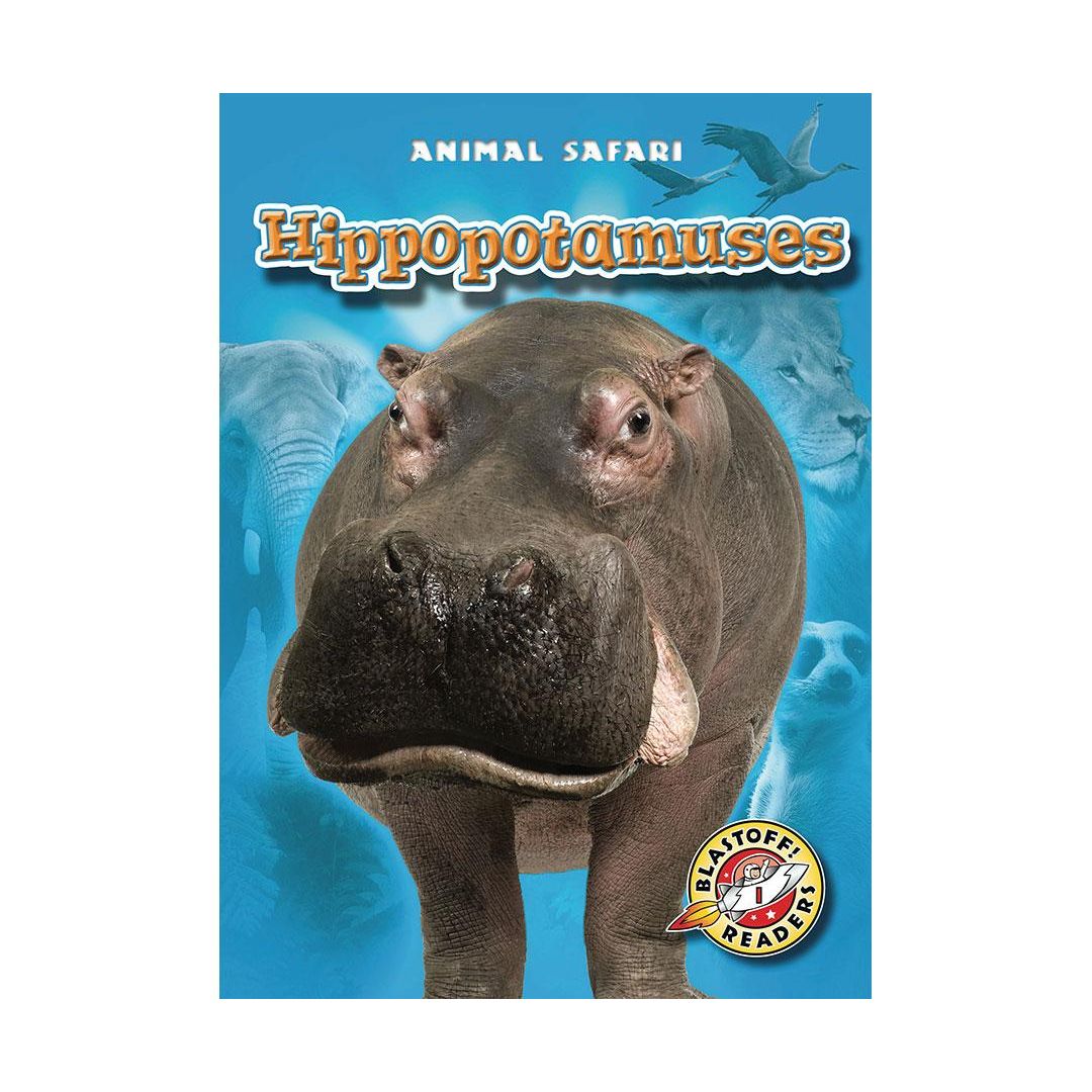 Hippopotamuses