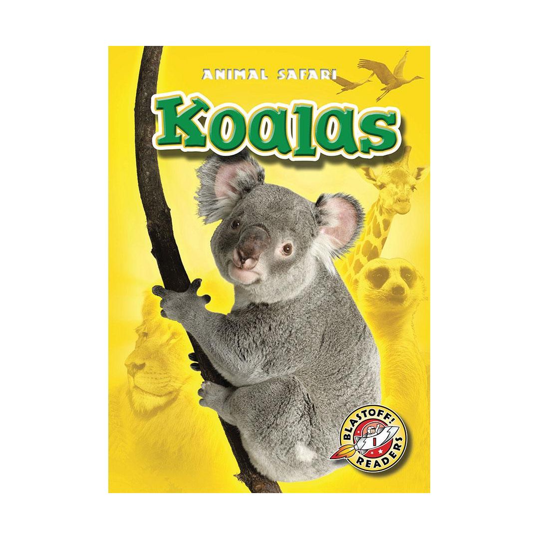 Koalas