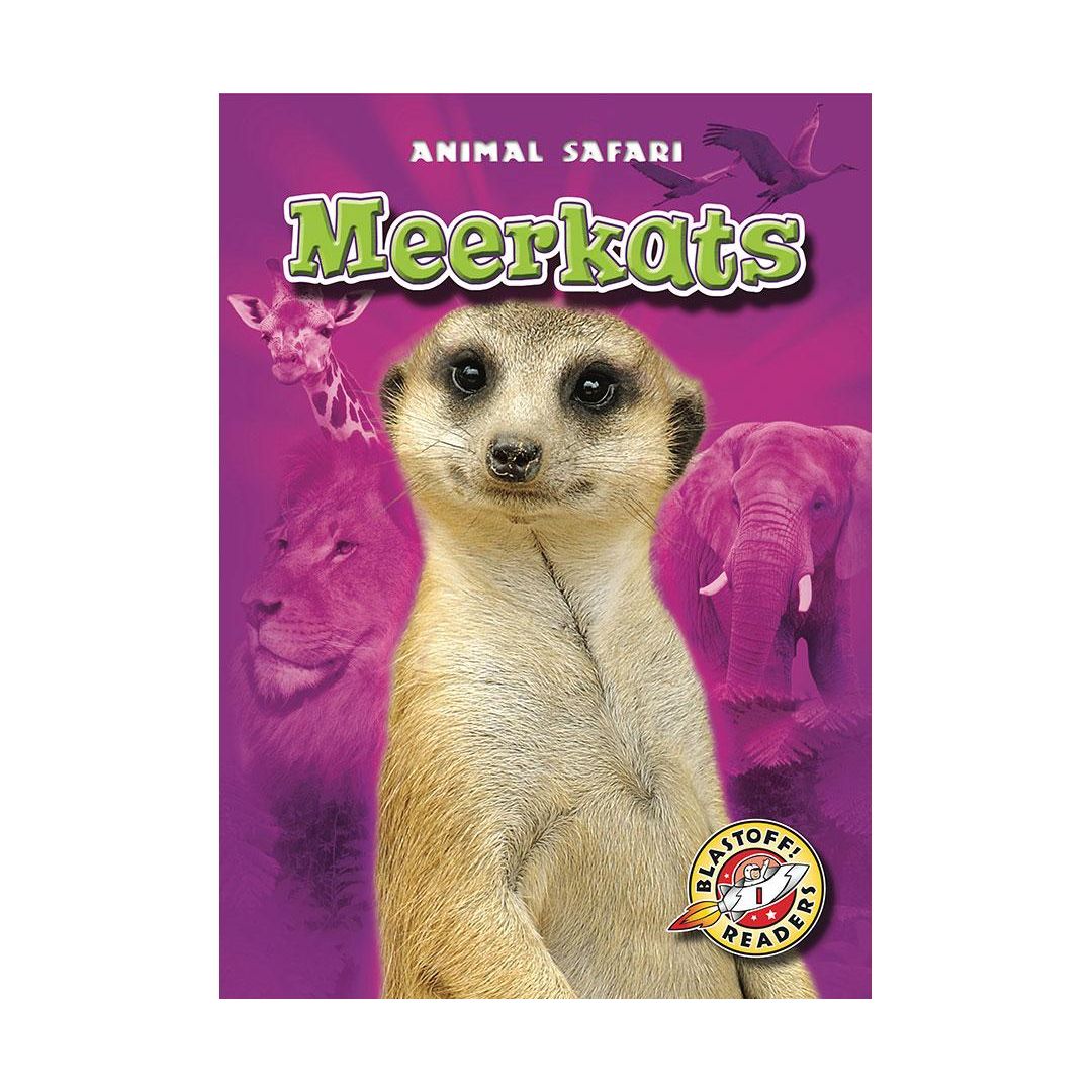 Meerkats